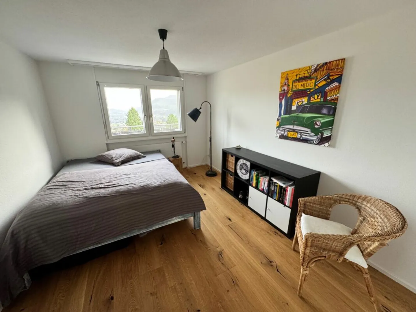 Appartamento 4.5 stanze recentemente ristrutturato con vista panoramica sull'Alpstein - Foto 6 di 10