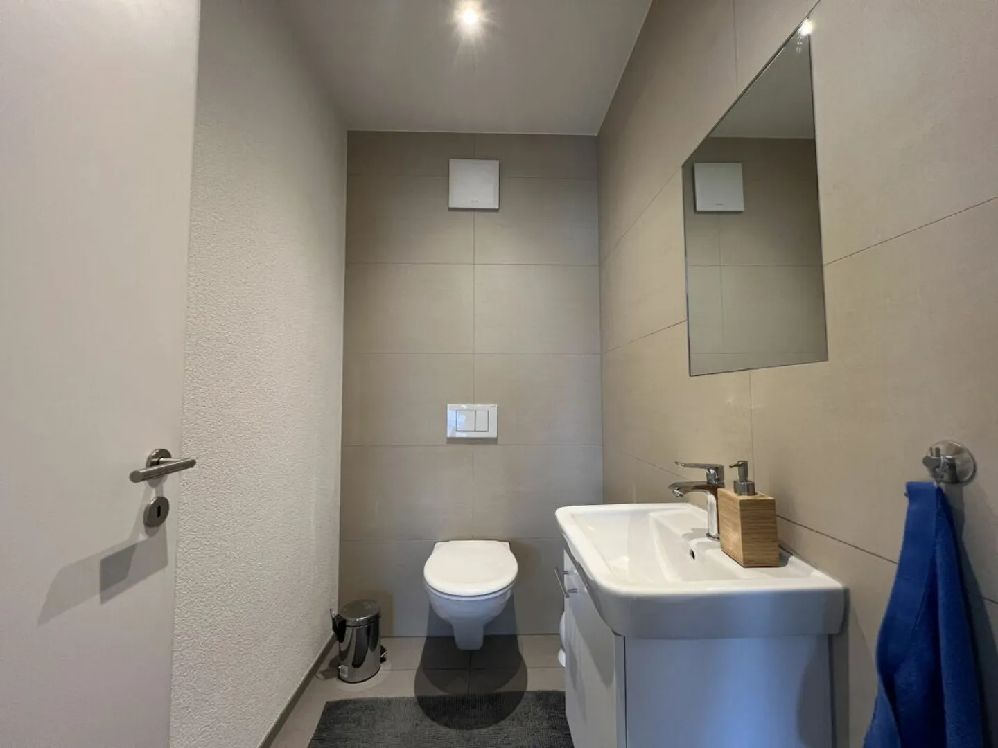 Above the rooftops of Arbon: Penthouse apartment with sunny roof terrace and lake view - Photo 10 of 13