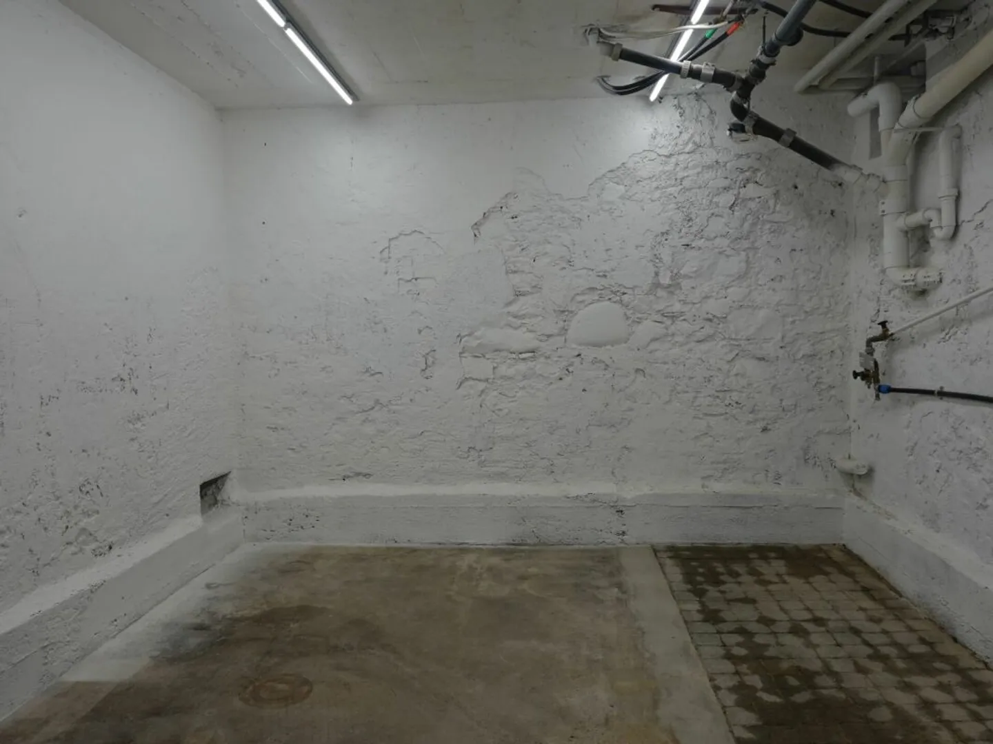 Frost-resistant and practical storage space - Photo 1 of 4
