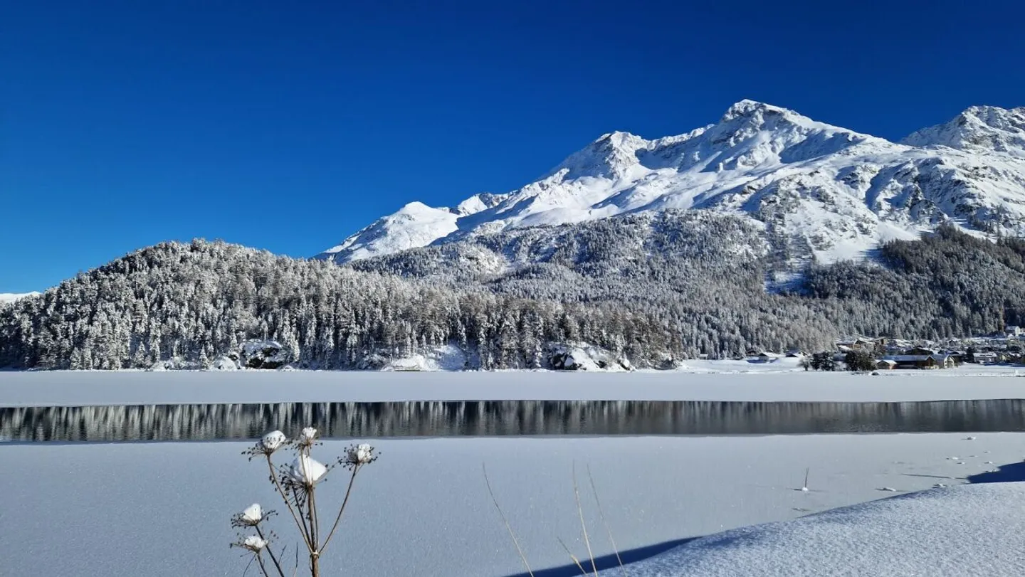 Charmante Wohnung im Engadin - Foto 12 von 13