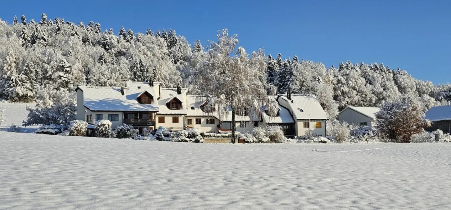 Wohnen über dem Nebel im wunderschönen Zürcher Oberland - Foto 1 von 13