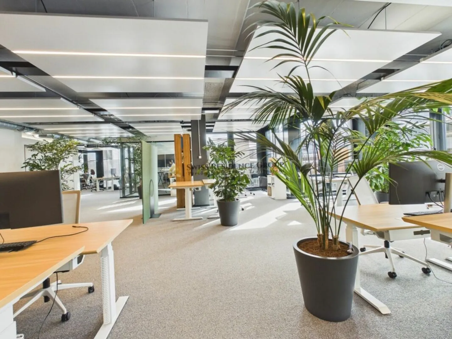 Unité de bureau élégante avec une touche urbaine dans un emplacement privilégié à Zurich - Photo 2 sur 13