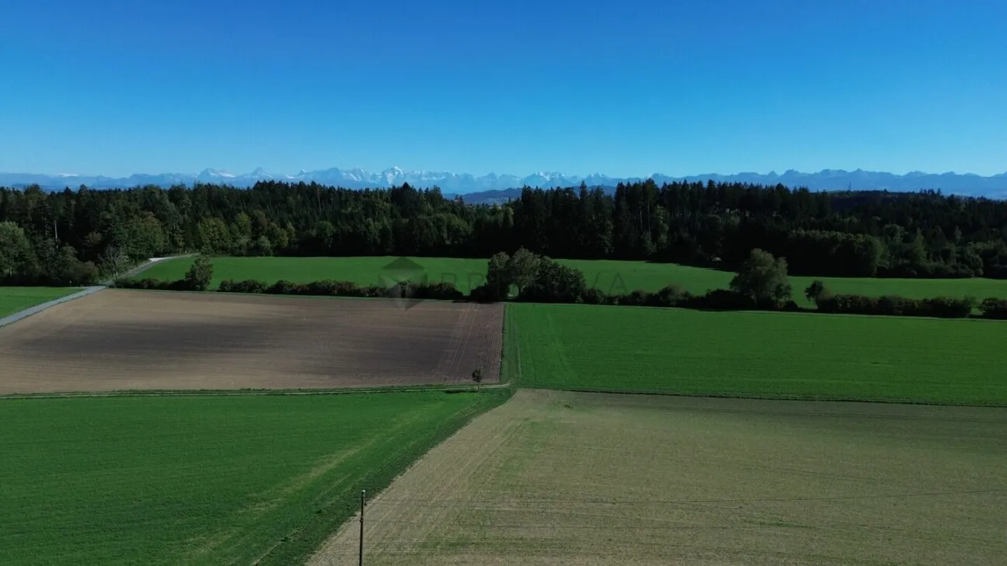 Exklusives Wohndomizil mit Aussenpool, grosser Parzelle und Panorama-Weitsicht in Meikirch - Foto 12 von 12