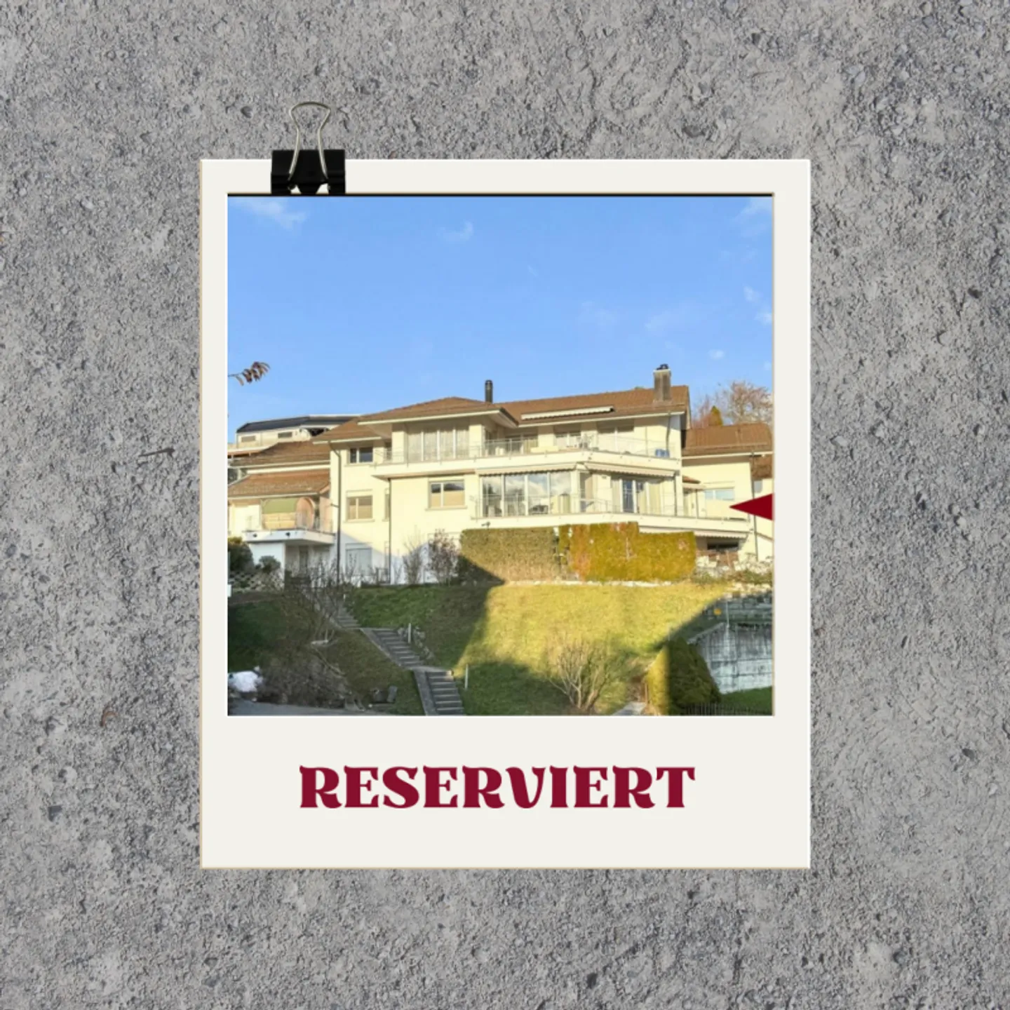 View - Peace - Winter Garden - Photo 1 of 1