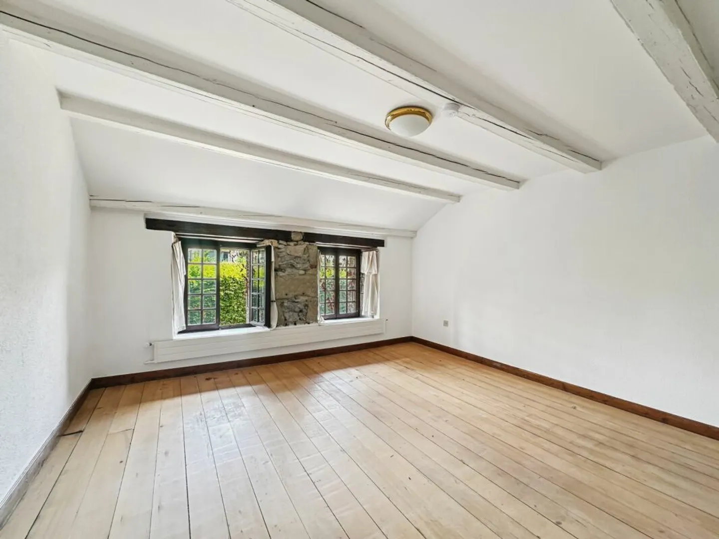 UNUSUAL PROPERTY ON MORE THAN 6,000 M2 UNDER RENOVATION, NOT SUBJECT TO THE LDFR - Photo 11 of 13