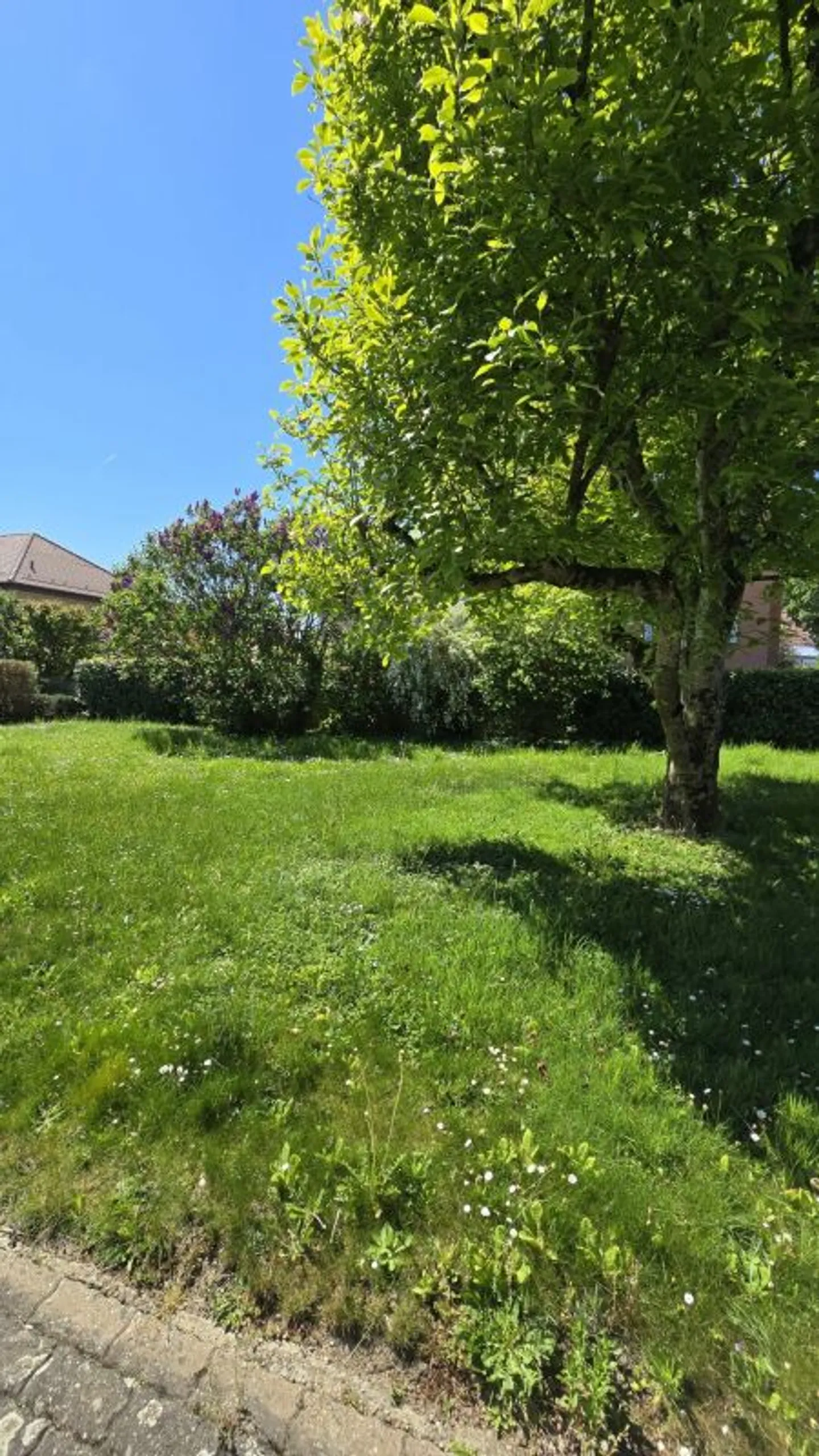 Appartamento di 3 stanze a Yverdon-les-Bains - Foto 6 di 7