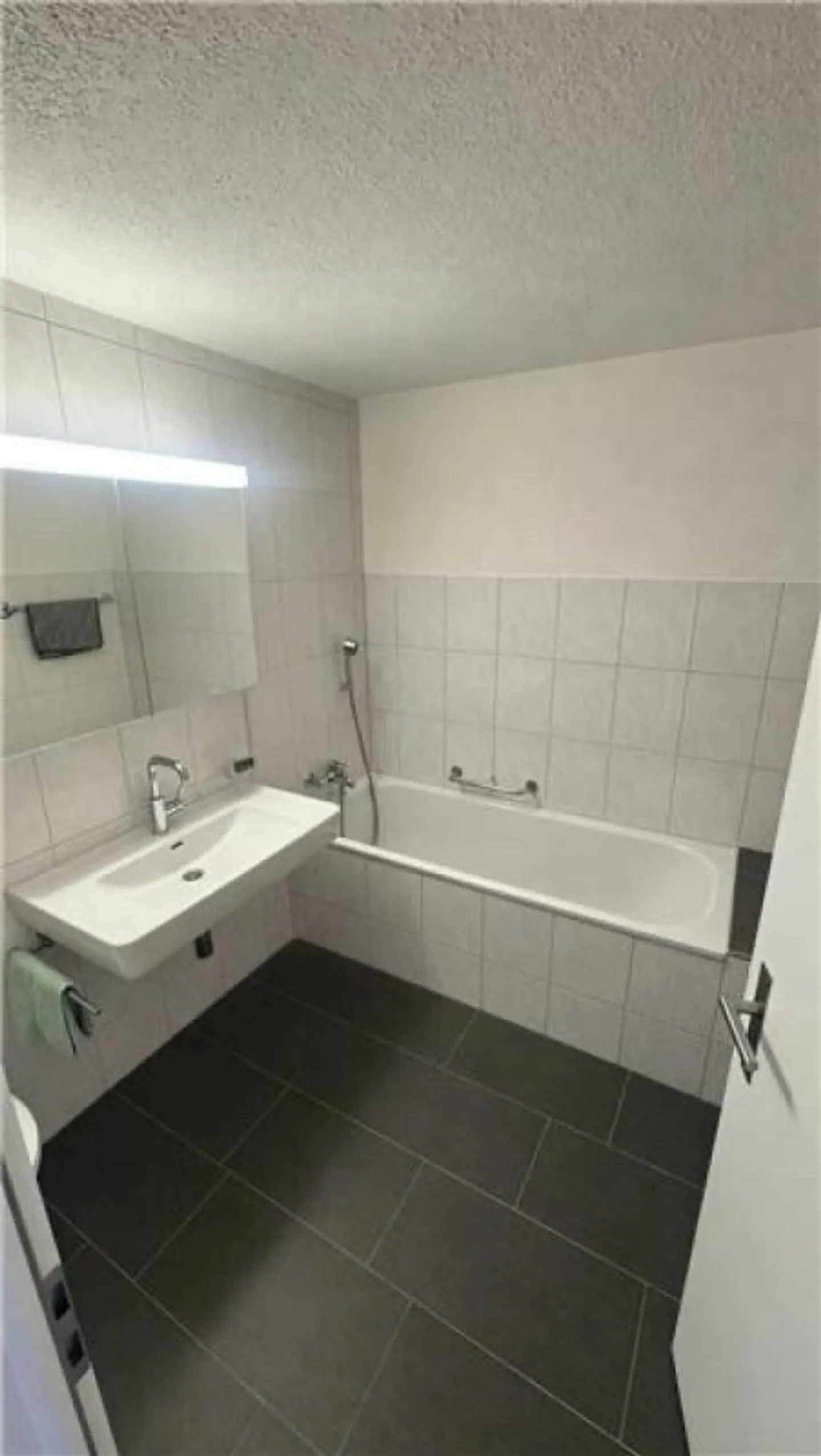 Appartamento conveniente a Sargans - Foto 7 di 10