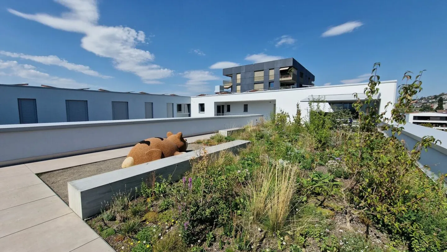 Maison de rêve au-dessus des toits de Root - 2,5 pièces dans un emplacement privilégié - Photo 7 sur 9
