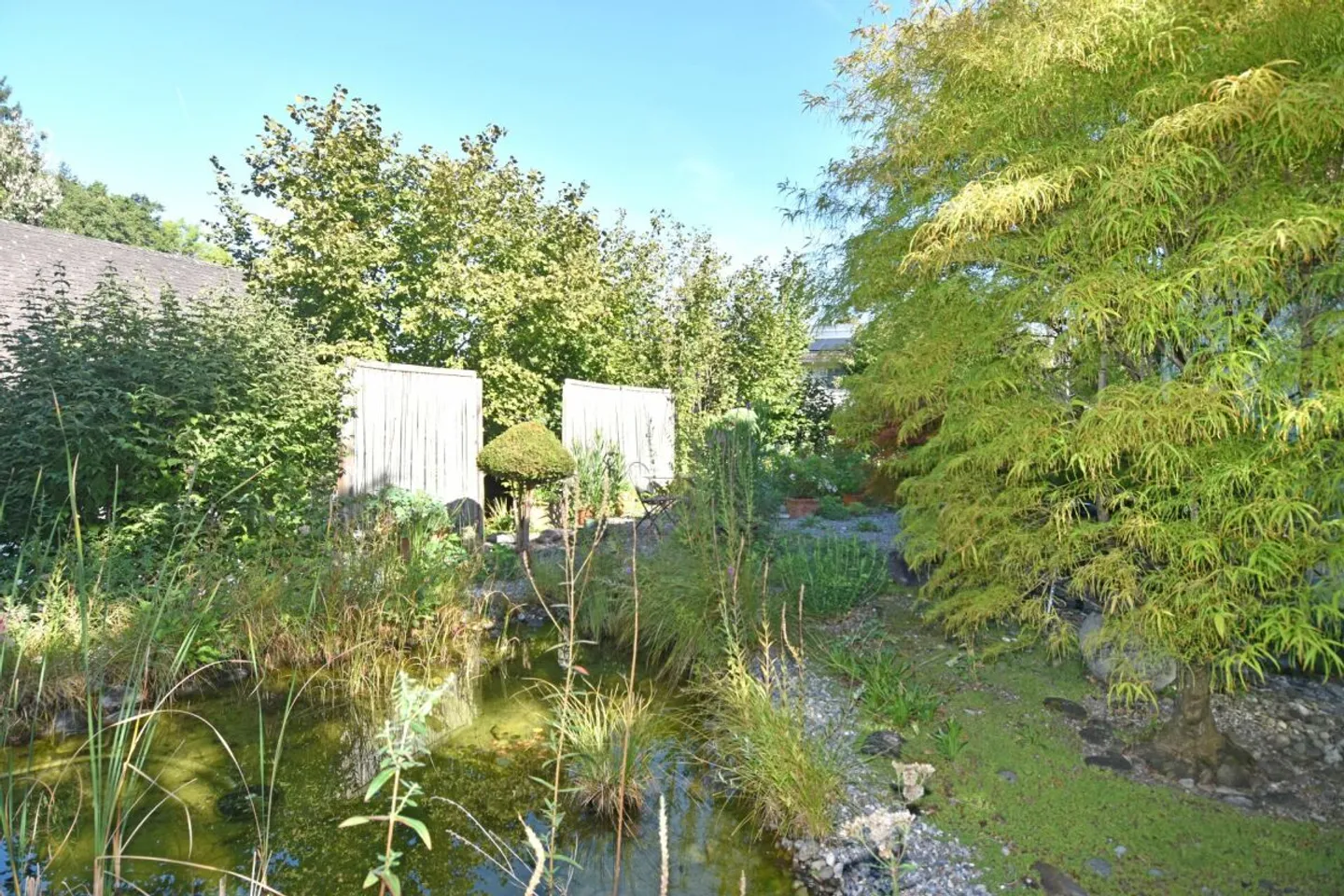 Casa indipendente con giardino idilliaco - Foto 6 di 13