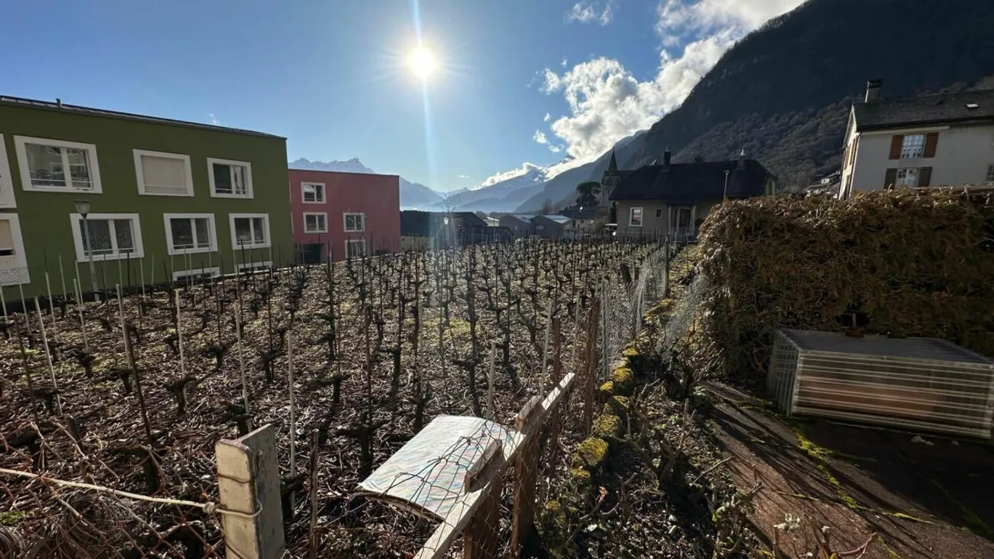 Immeuble locatif à Vouvry - Photo 10 sur 11