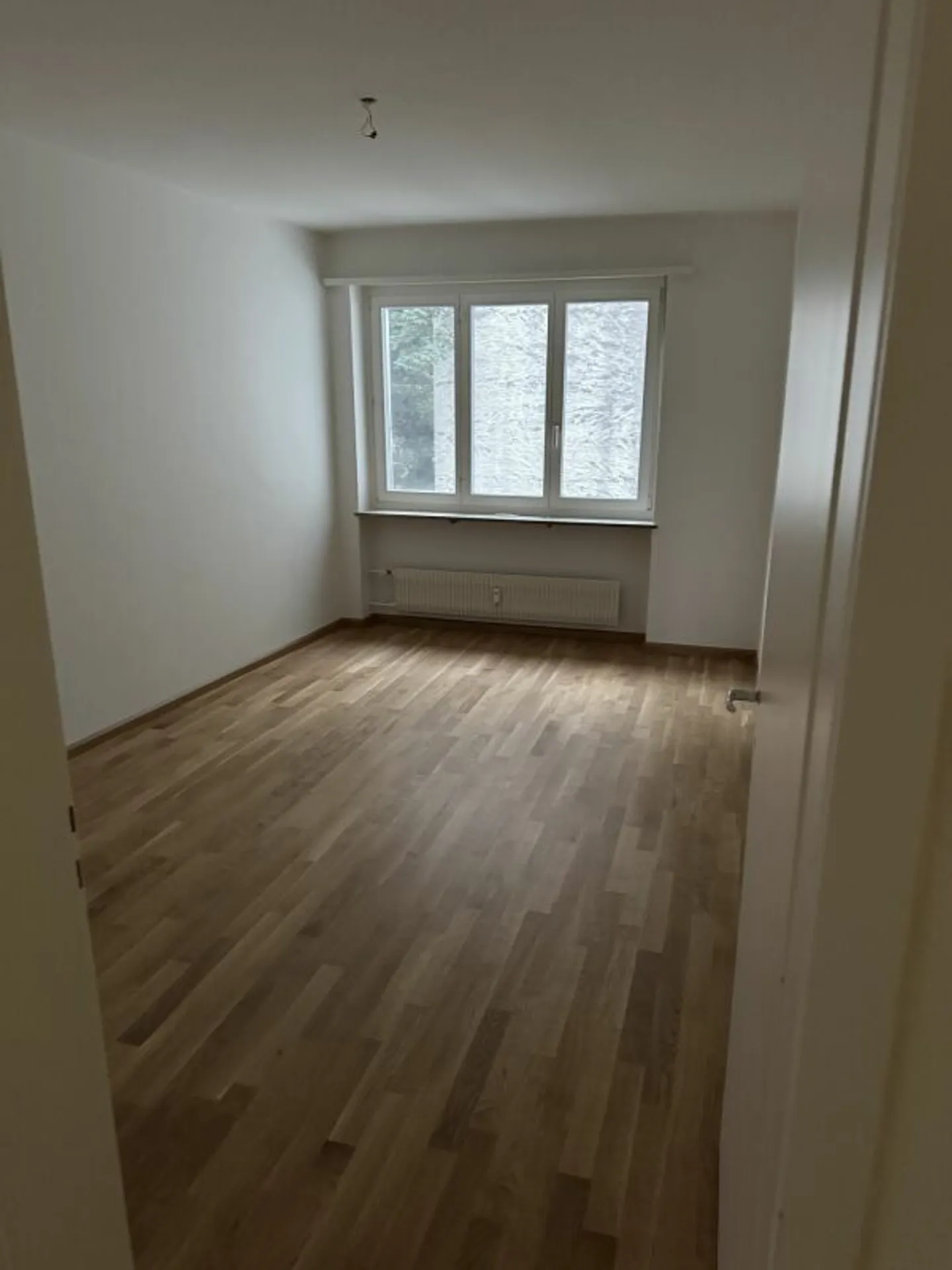 Renovated apartment with new kitchen by the Rhine - Photo 3 of 7