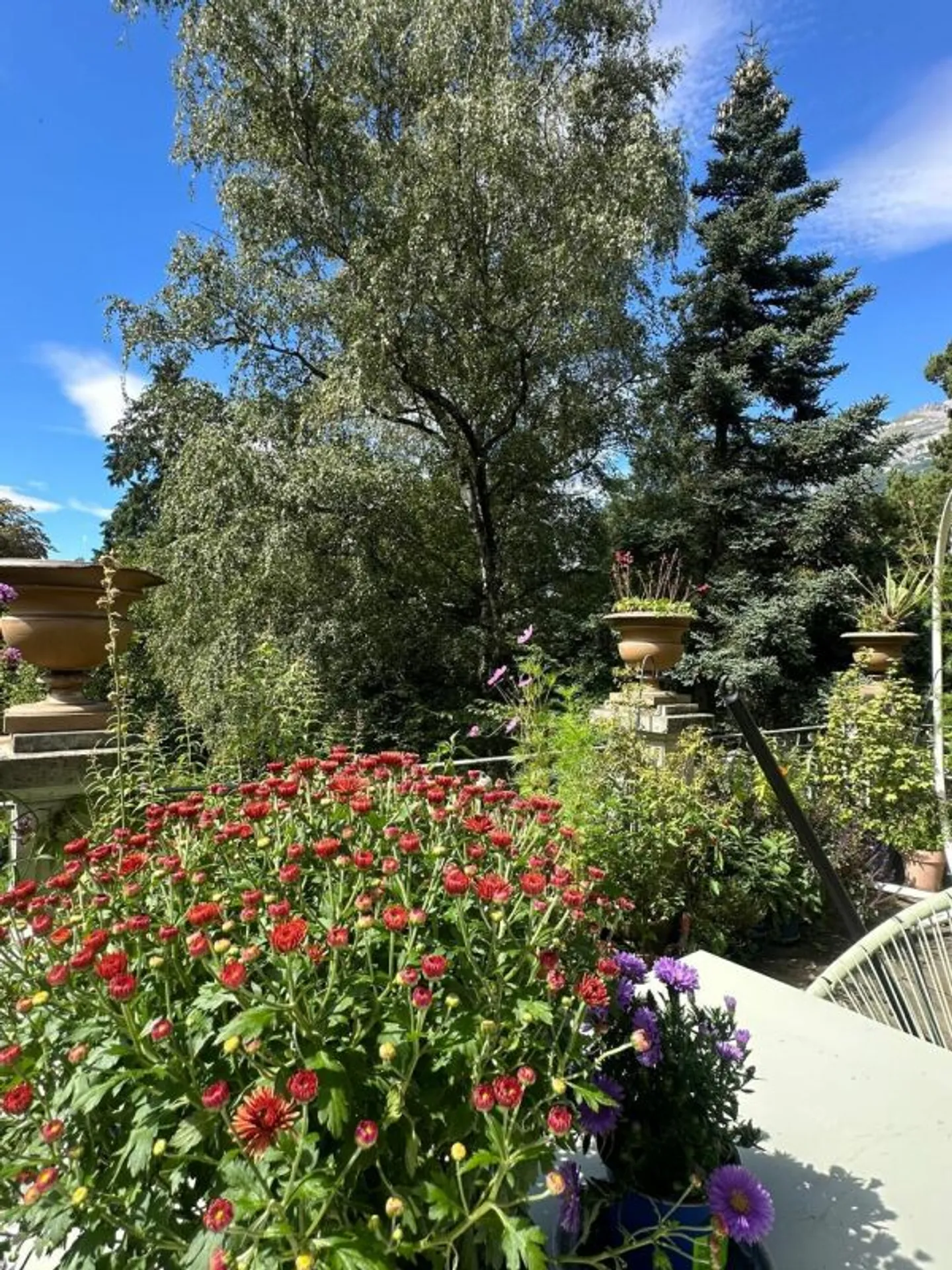 Living in the Park: Stylish Dream Apartment with Terrace in Chur - Photo 6 of 13