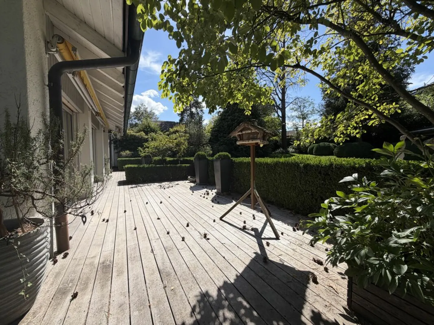 More Space than Usual: Spacious Family House in the Best Location in Bassersdorf - Photo 5 of 13
