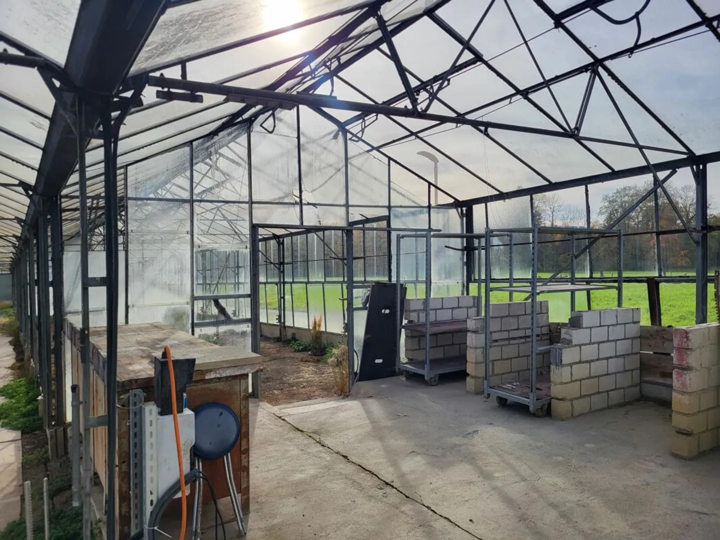 Large Greenhouses near Arbon - Photo 5 of 7