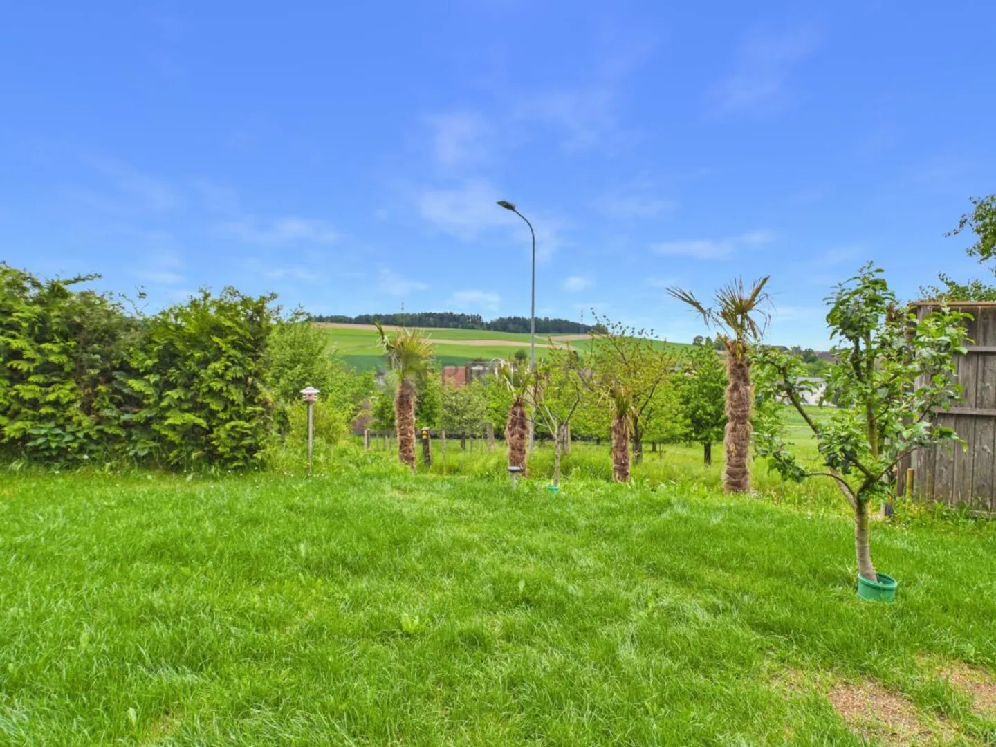 Renoviertes Familienhaus in Grasswil - Foto 10 von 10