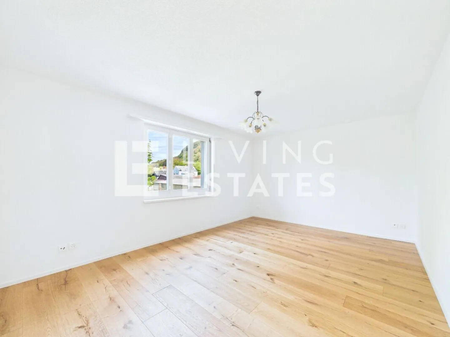 FRESHLY RENOVATED - SPACIOUSLY THOUGHT OUT - Photo 6 of 13