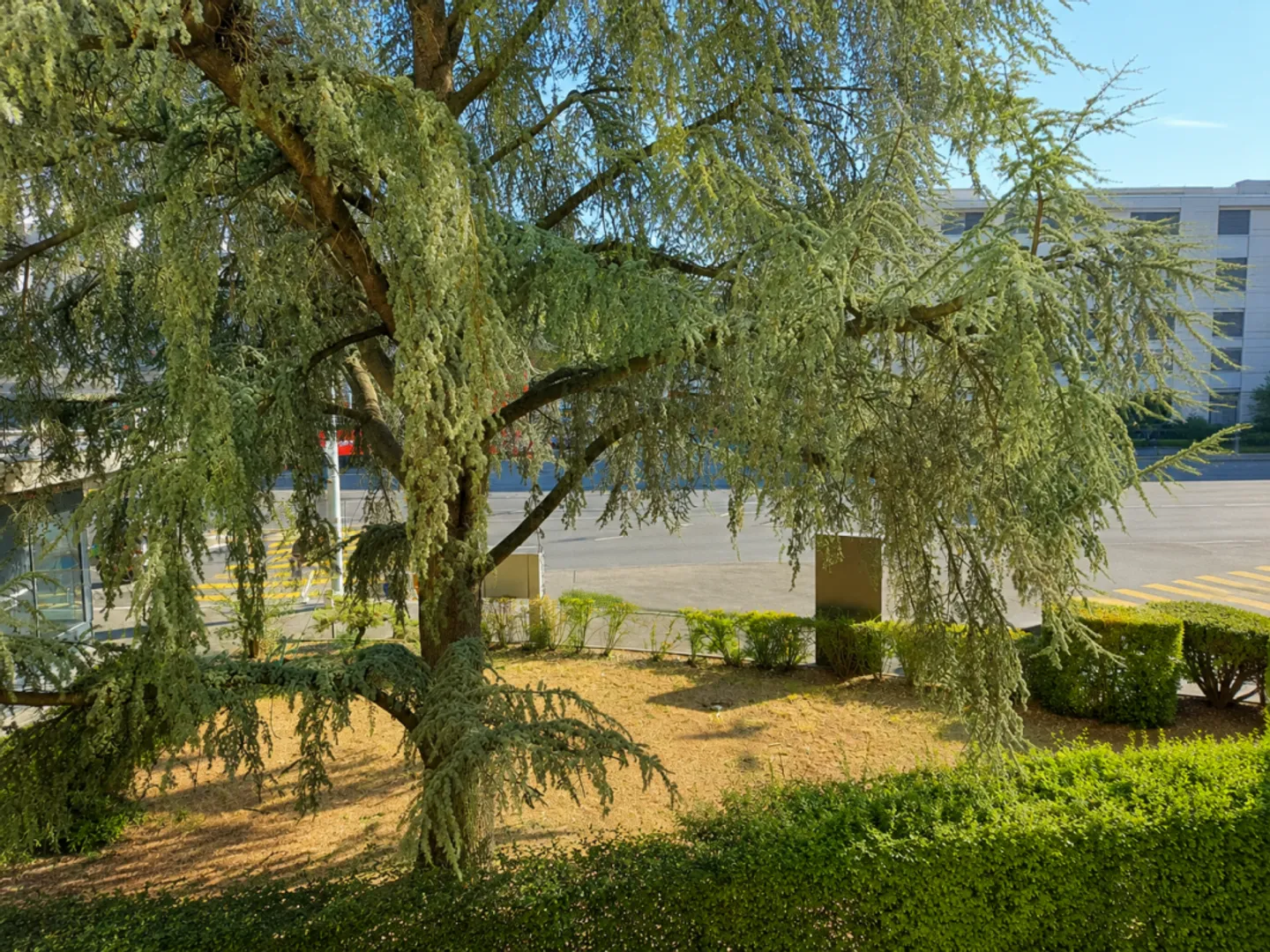 Charming 3-room apartment ideally located - Tram and amenities nearby - Photo 7 of 8