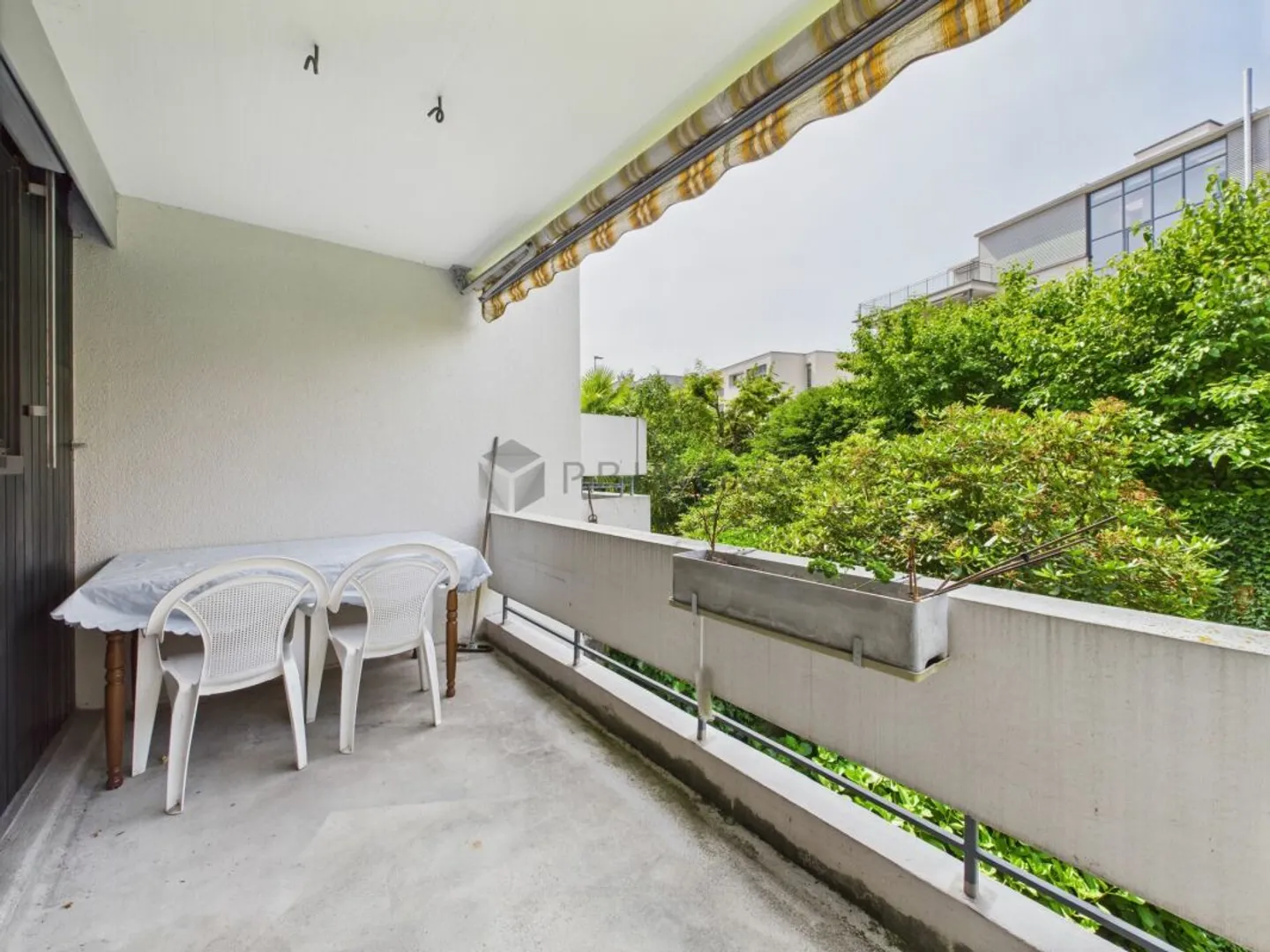 A true family oasis in a popular location seeks its equal! - Photo 6 of 13