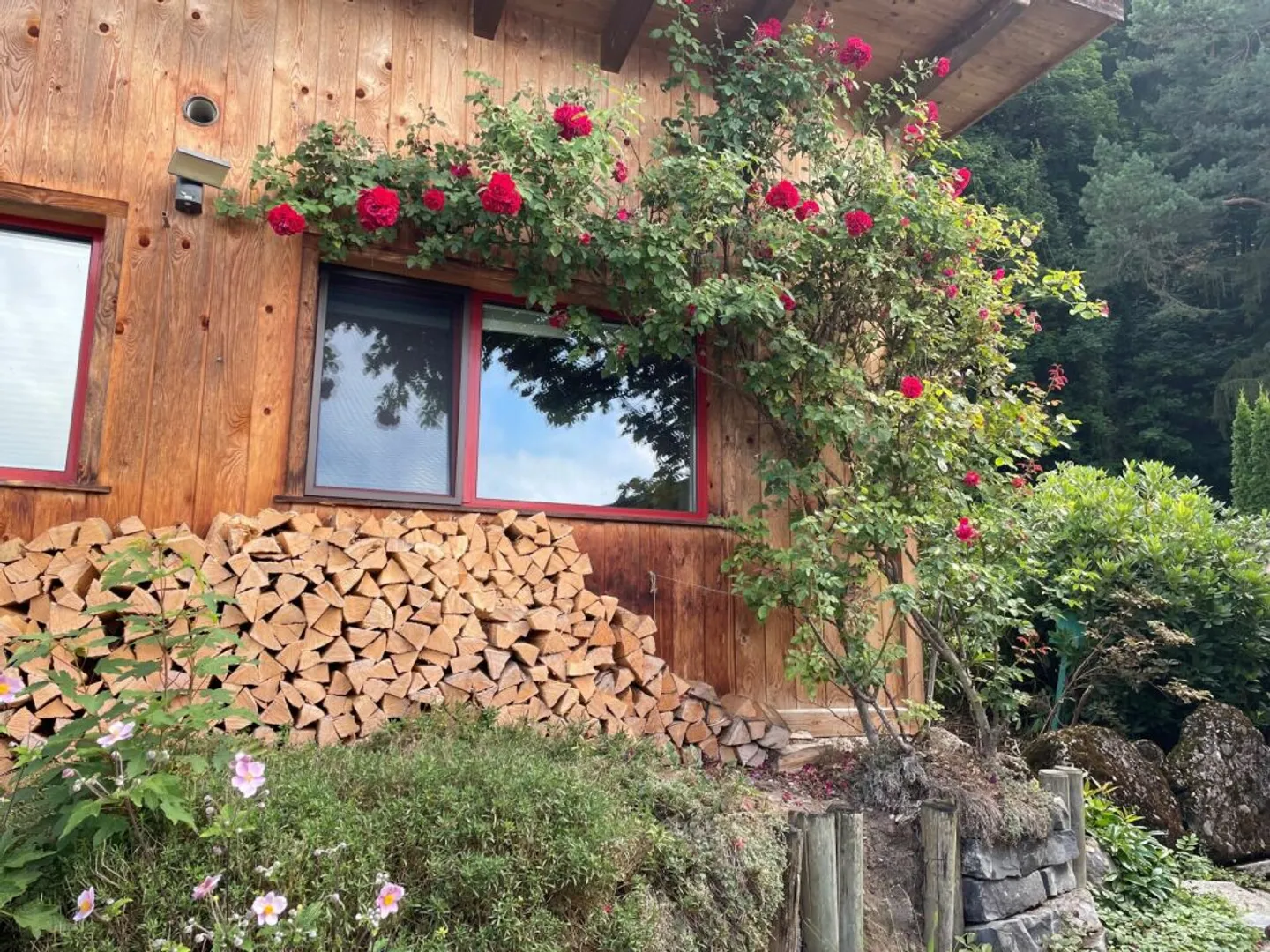 Nature, Peace and Postcard View - Photo 13 of 13