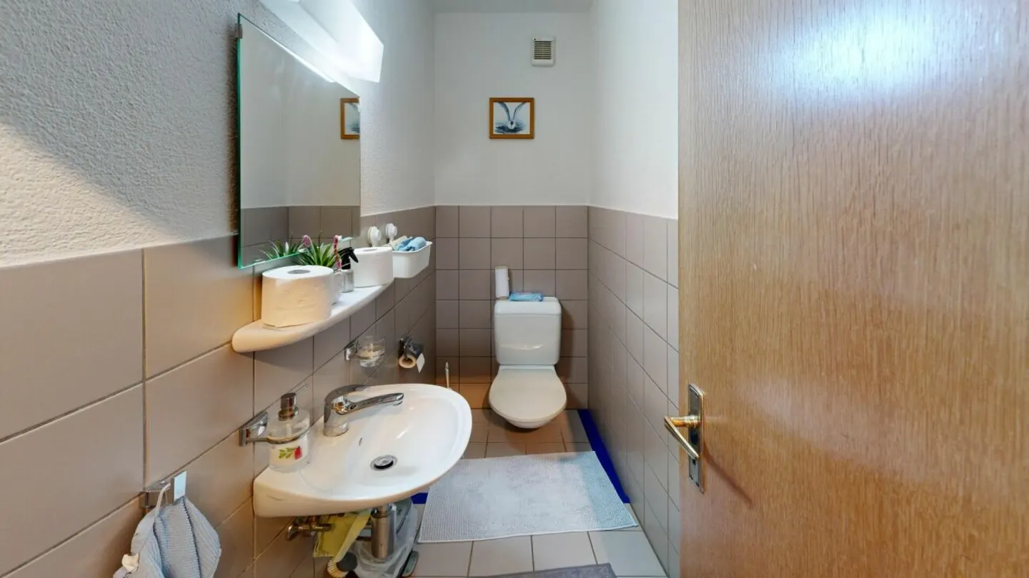 Plenty of Space for Your Living Dreams - Row House in Tegerfelden - Photo 13 of 13