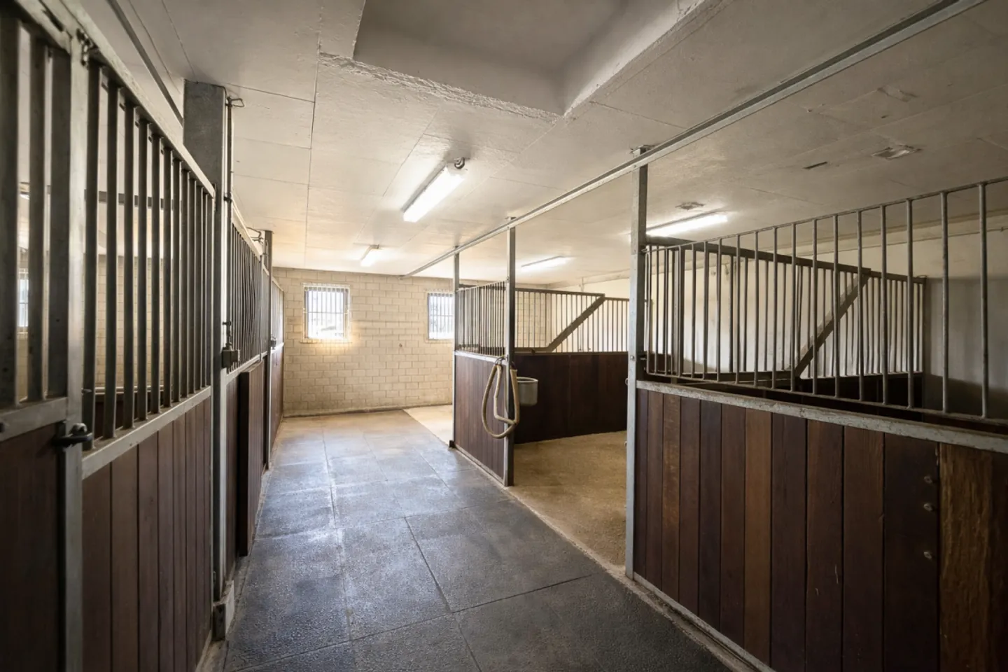 Locataire recherché ! Halle d'équitation Burgdorf incluant le manège - Photo 7 sur 9