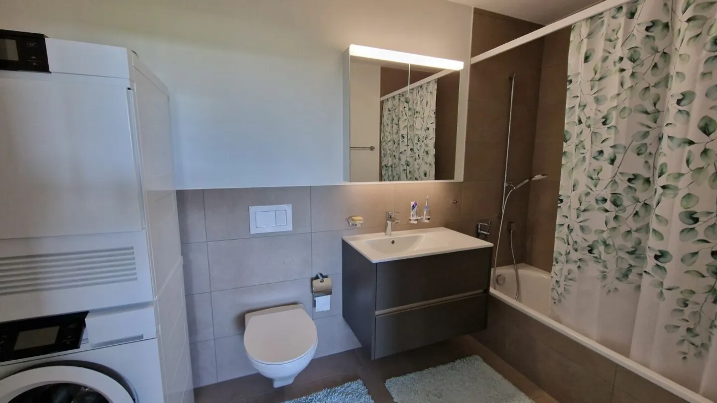 Dream Home in Prime Location: 3.5-Room Apartment in the Heart of Root - Photo 8 of 10