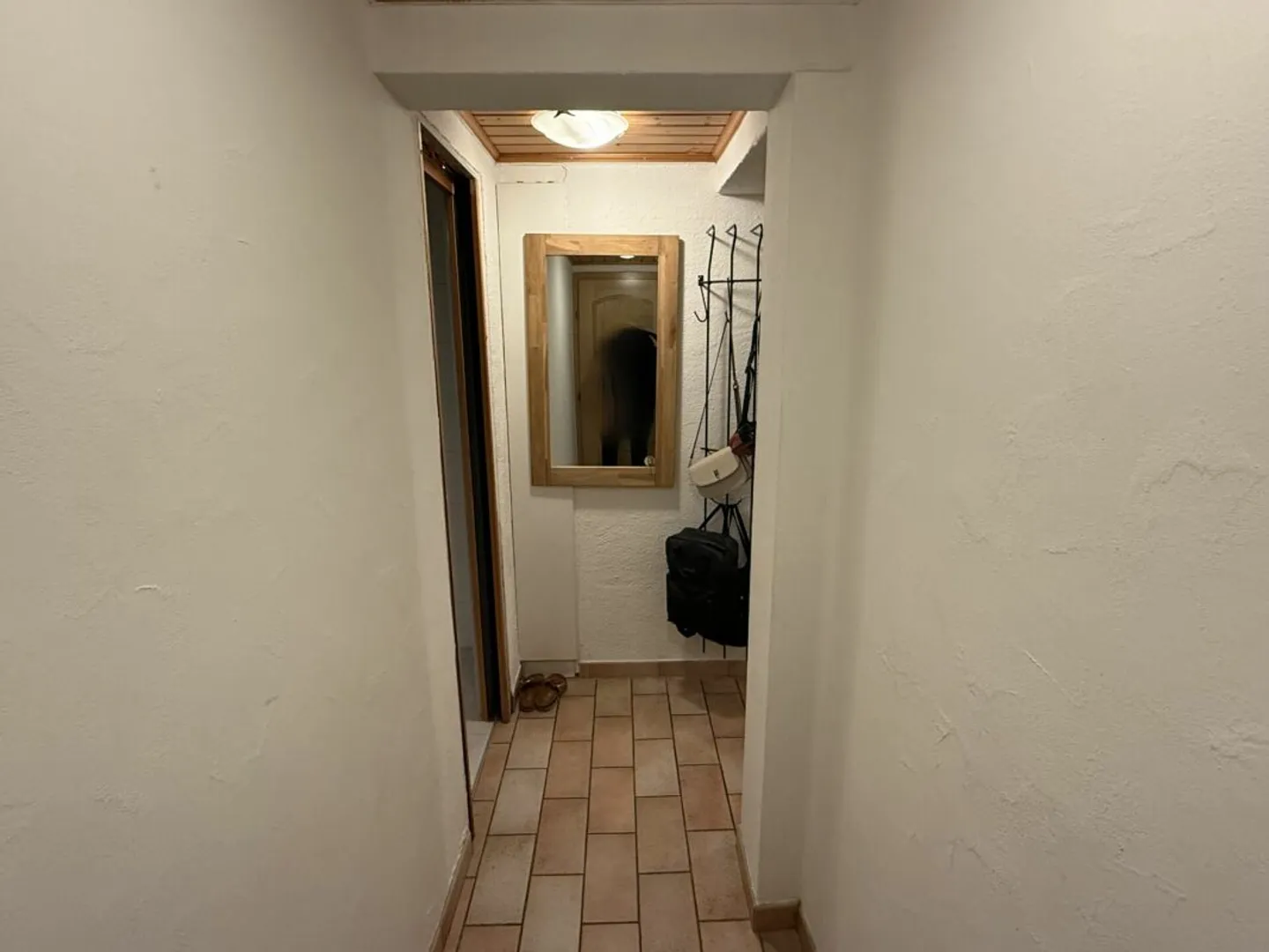 Charming apartment with beautiful Matterhorn view - primary residence - Photo 3 of 13