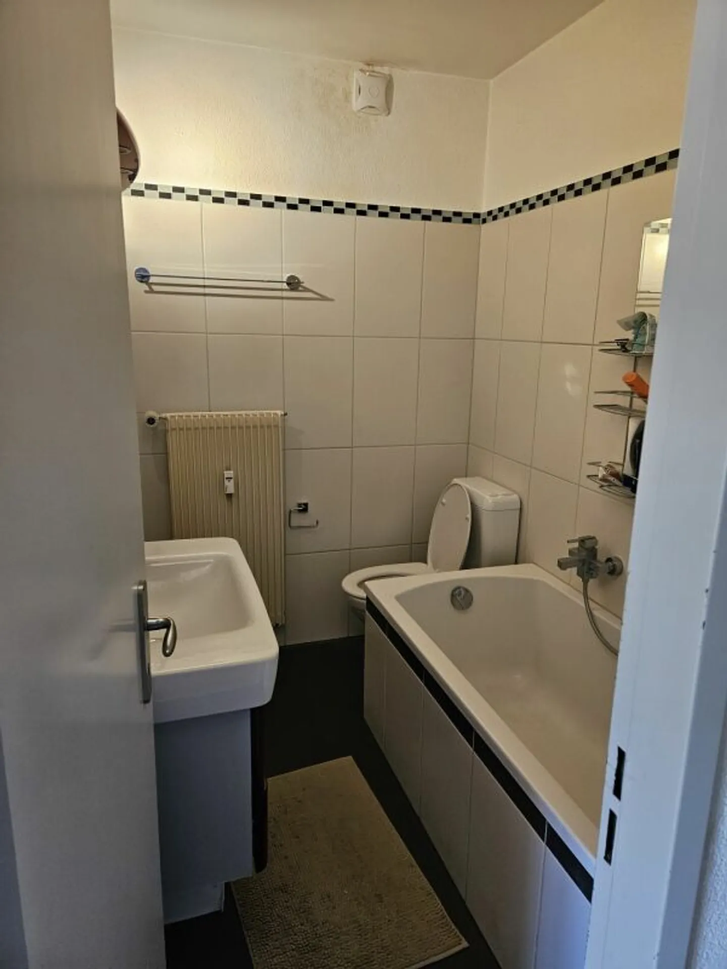 Charming Apartment with Balcony - Photo 9 of 13