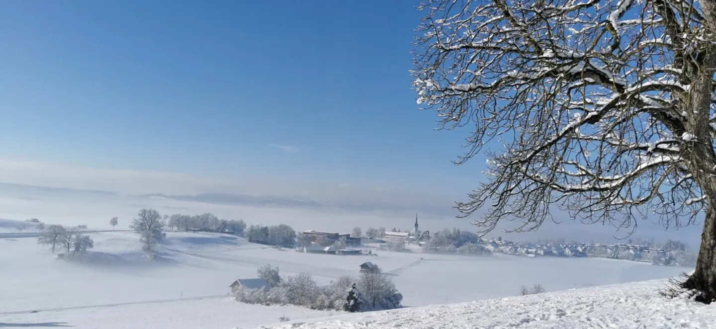 Viel Raum - Sonnig - Naturnah - Photo 12 sur 12