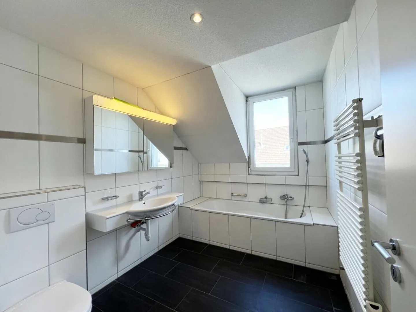 Family Apartment with Reuss View - Photo 4 of 11