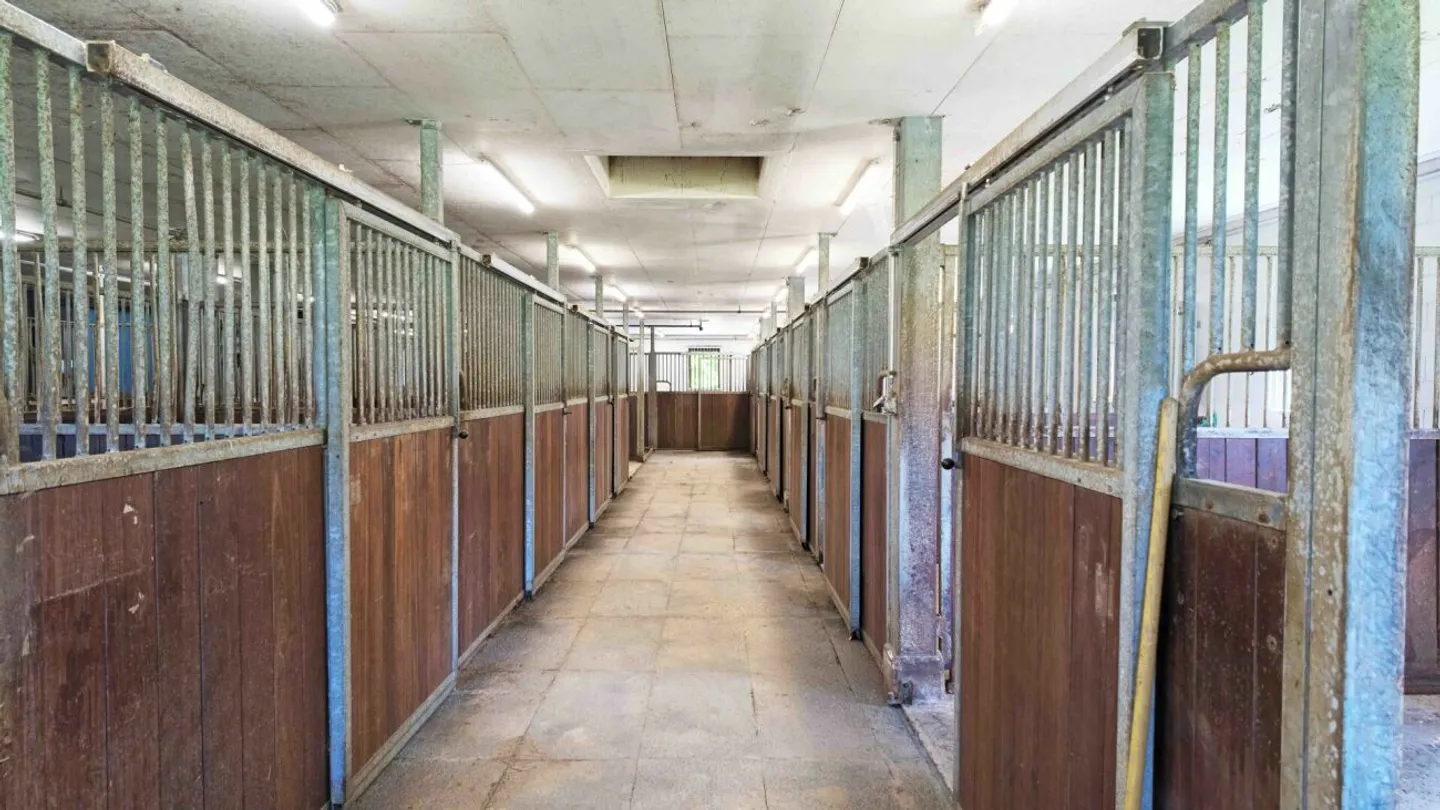 Locataire recherché ! Halle d'équitation Burgdorf incluant le manège - Photo 12 sur 13