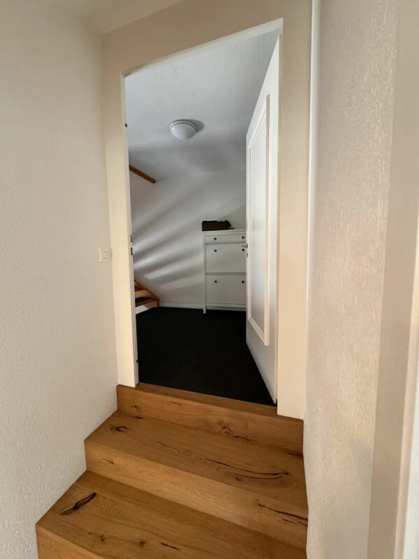 Newly built 4.5 room apartment with panoramic view of the Alpstein - Photo 11 of 13