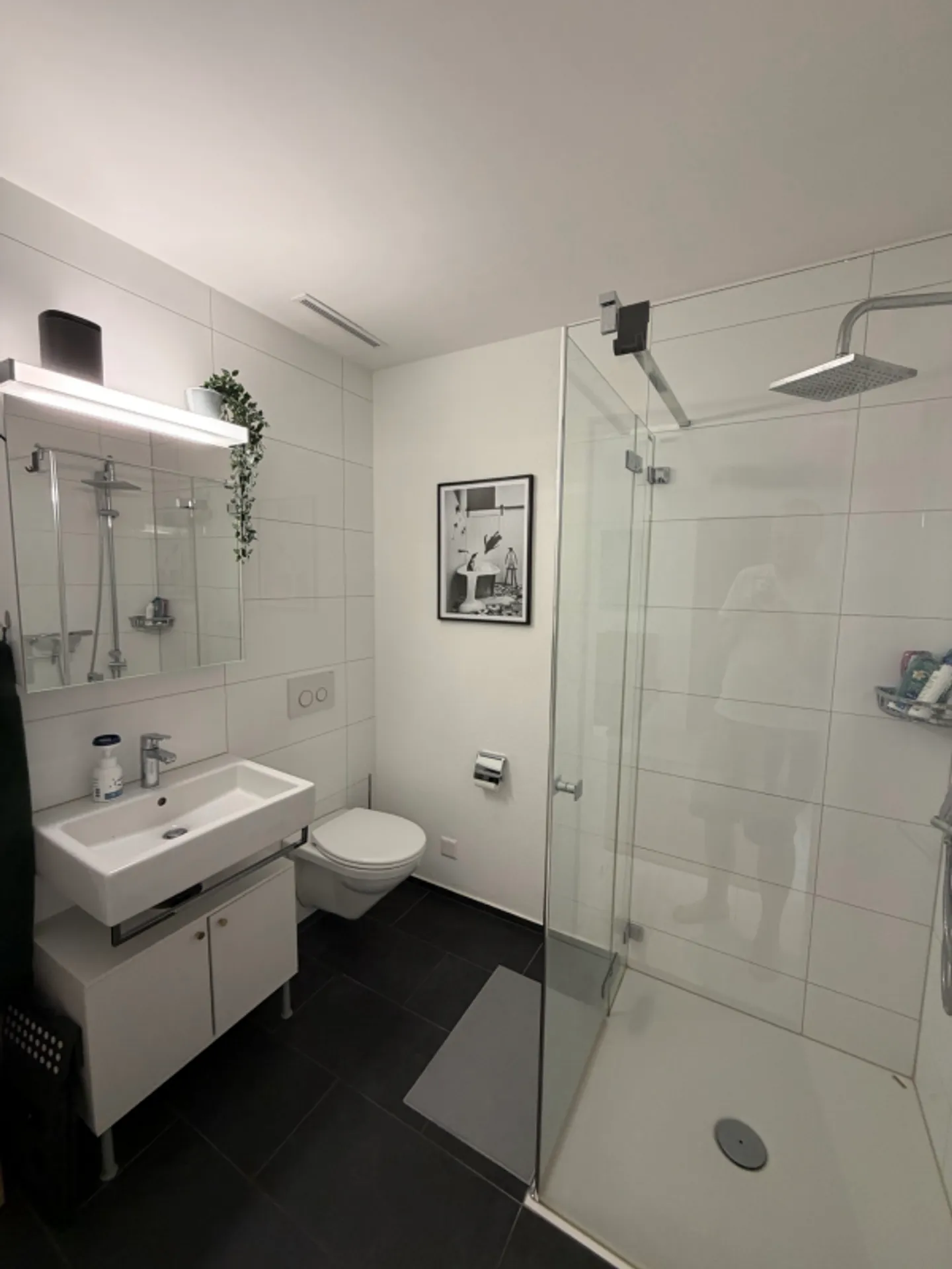 Appartamento perfetto a Kriens - Foto 7 di 12