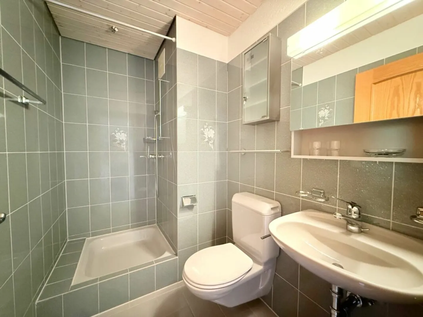 Modern Living Happiness with Garden in Gretzenbach - Photo 9 of 13