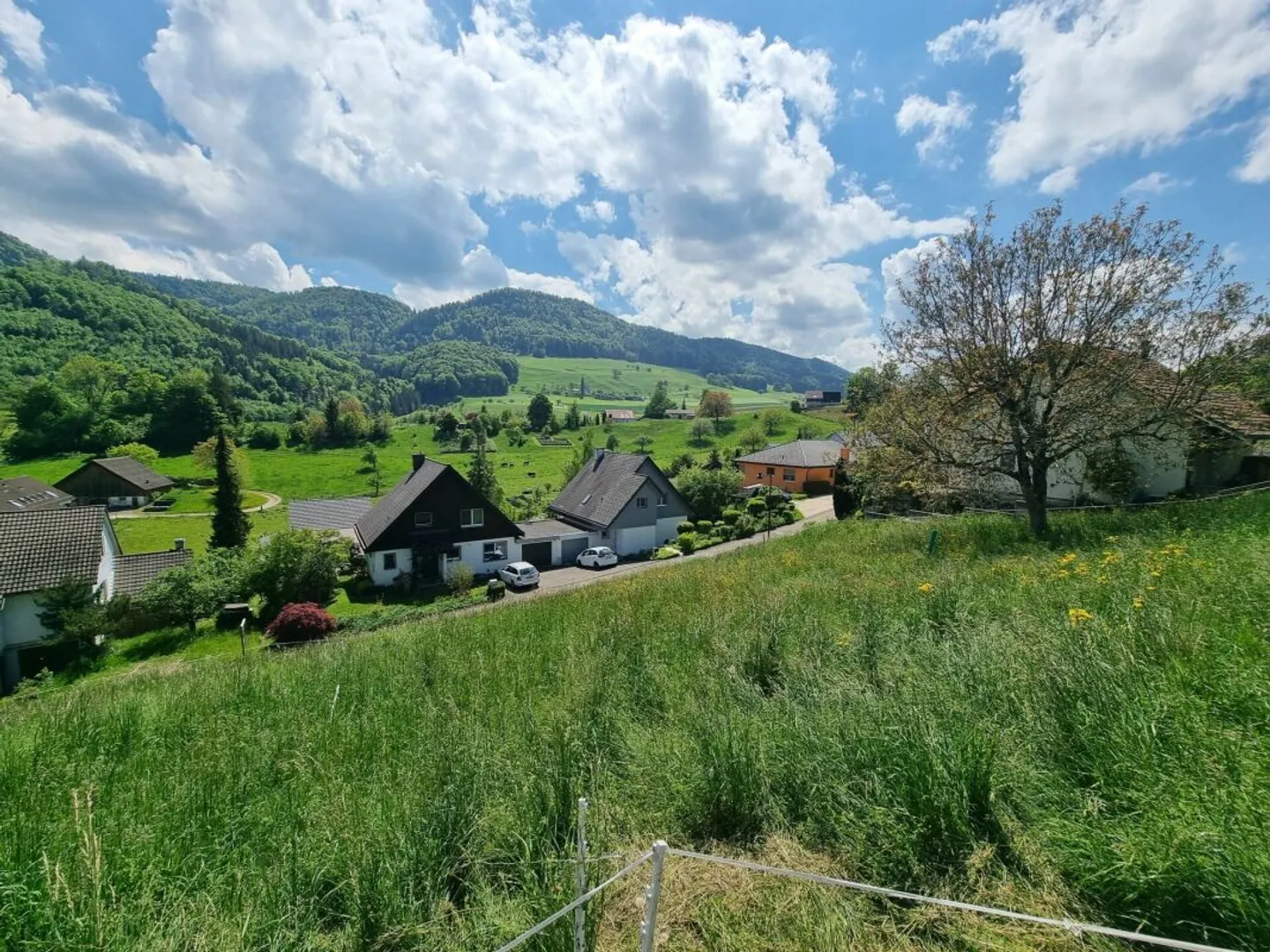 Dream plot on the south-facing slope of Bretzwil! - Photo 7 of 11