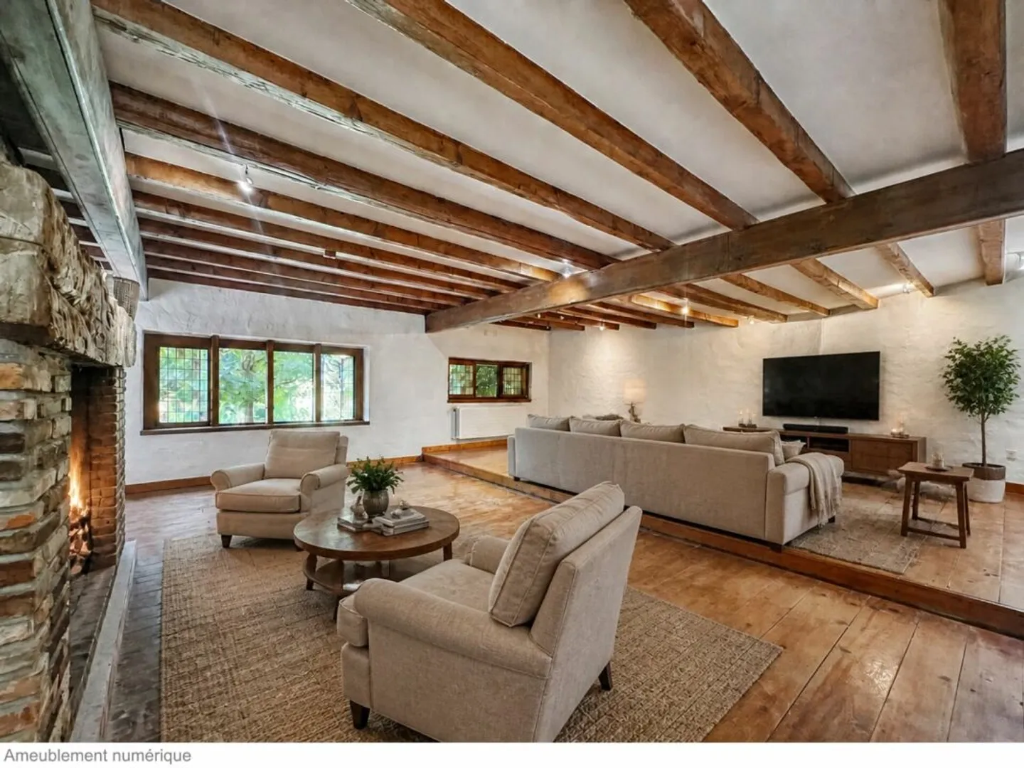 UNUSUAL PROPERTY ON MORE THAN 6,000 M2 UNDER RENOVATION, NOT SUBJECT TO THE LDFR - Photo 4 of 13