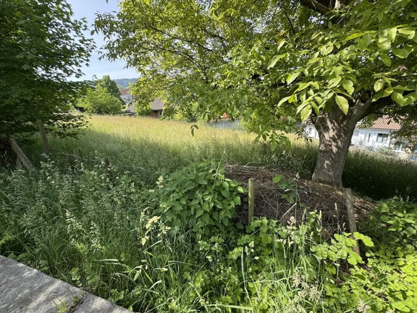 Bauland, z.B. für Villa, DEFH, 3 Wohnungen - Foto 2 von 3
