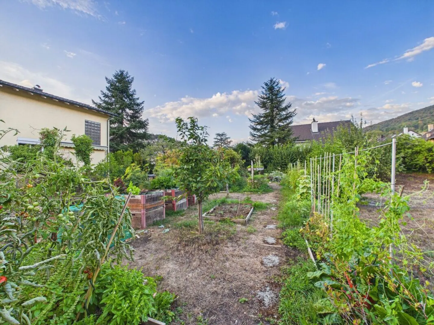 Einfamilienhaus mit Garten- ideal für Gartenliebhaber - Photo 4 of 13