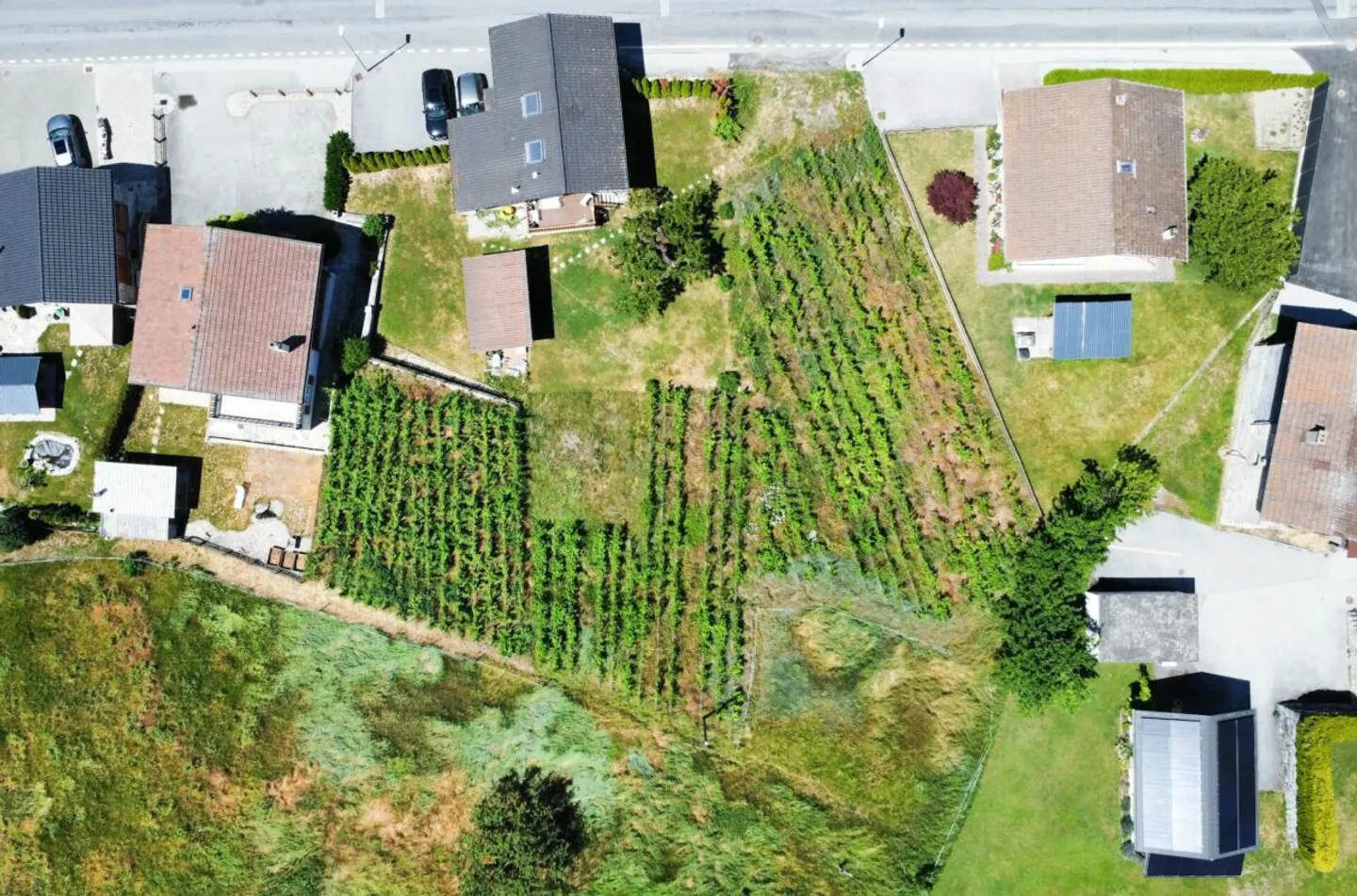 Villas de luxe à Grône - Photo 6 sur 8