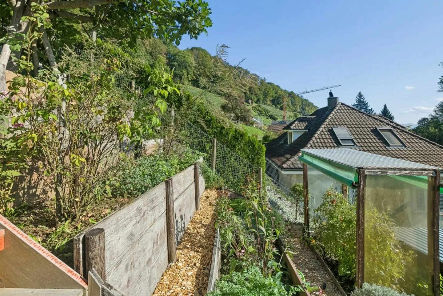 Maisonette mit Garten und Aussicht - Foto 3 von 13