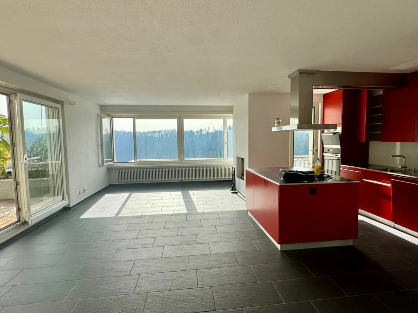 Natura, Pace e Sole - Vivere sull'Üetliberg con una Terrazza Imponente - Foto 2 di 13