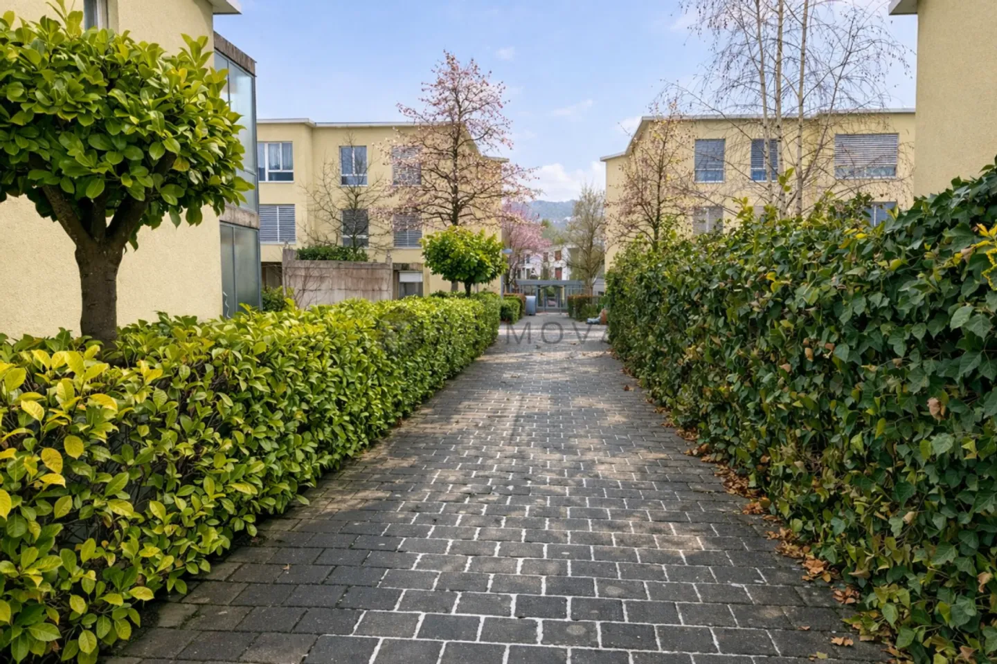 Vivere nel verde - eppure vicino al centro - Foto 11 di 11