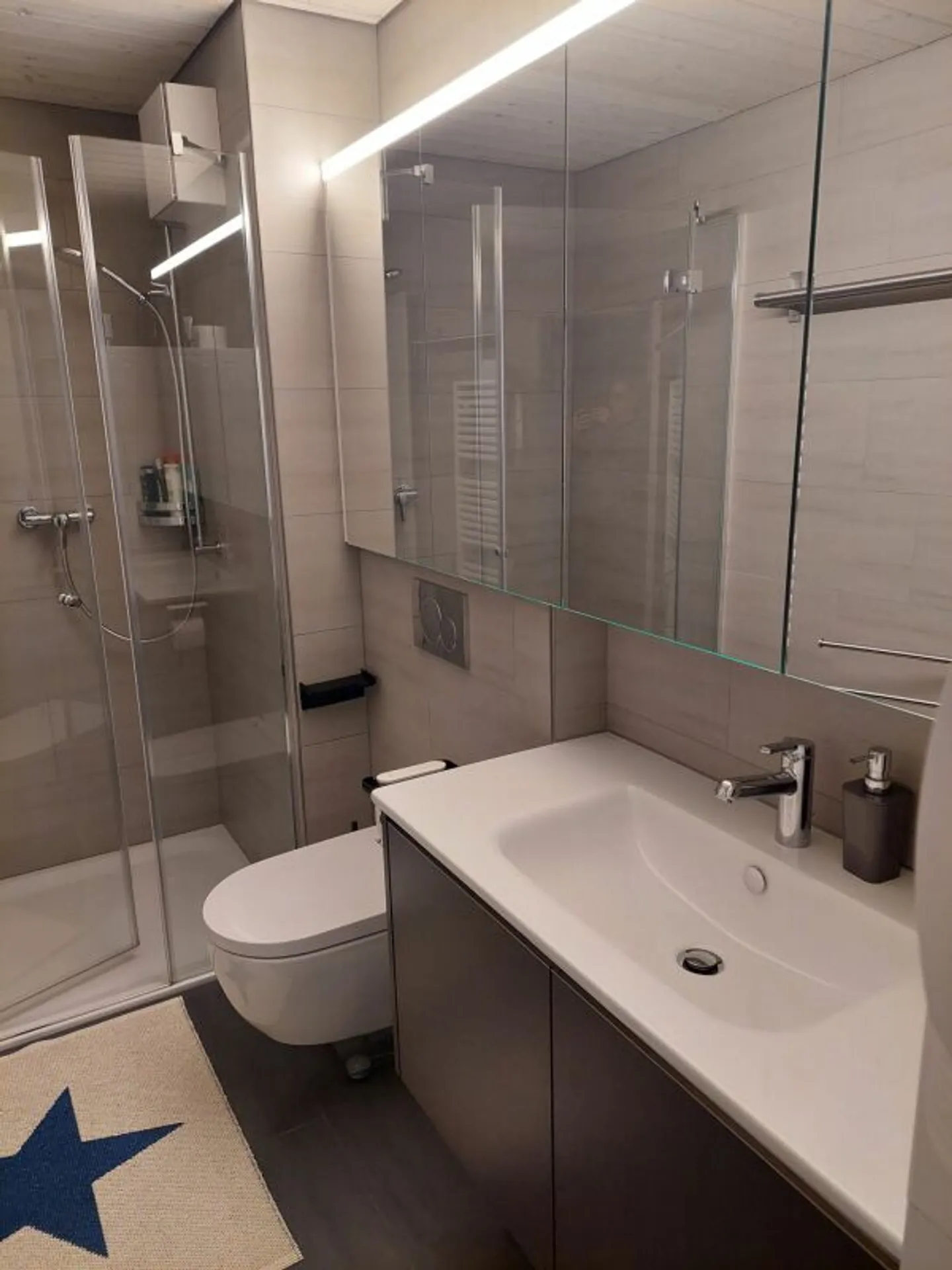 Beautiful and freshly renovated sunny 2.5-room apartment for sale - Photo 10 of 13