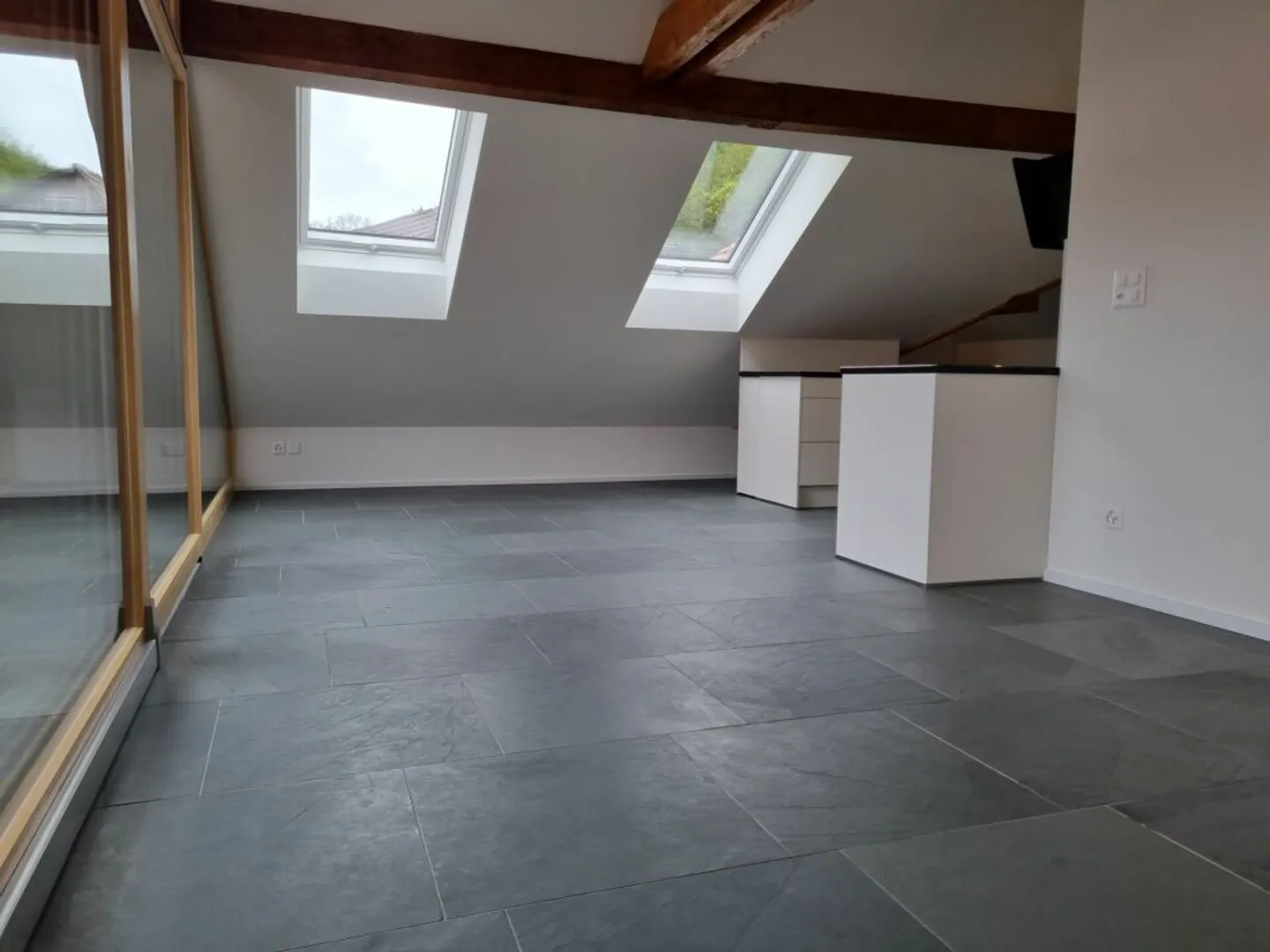 Fully Renovated Multi-Family House with 4 Residential Units - Photo 7 of 11