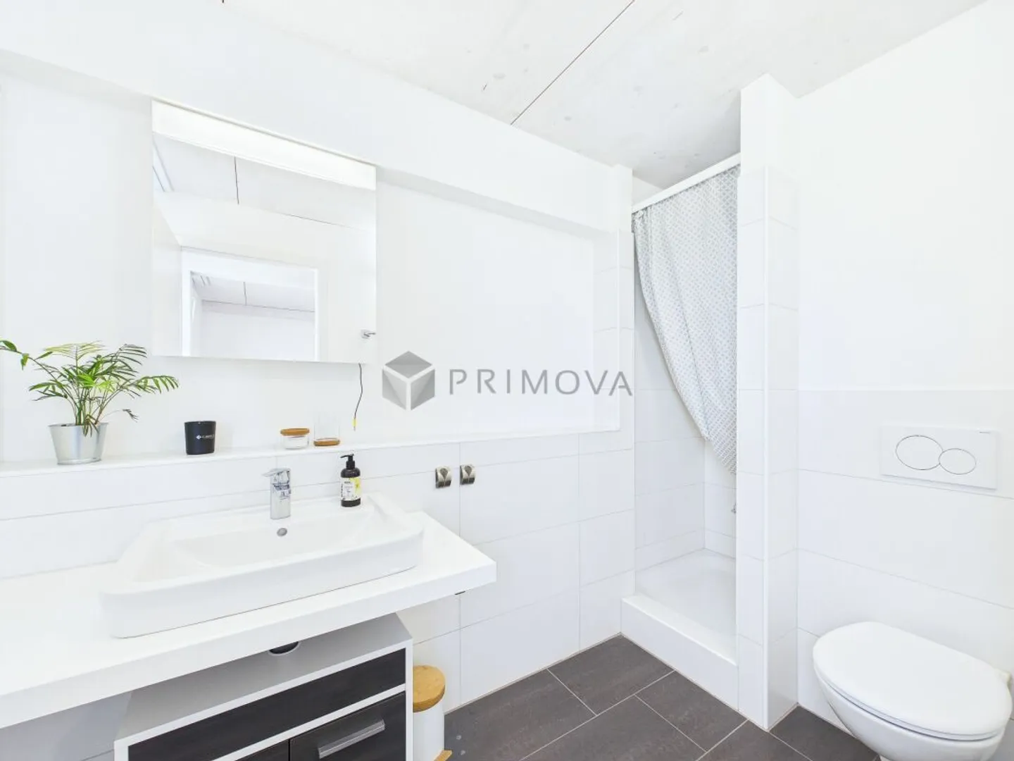 Modern Living Happiness with Säntis View - Photo 6 of 10