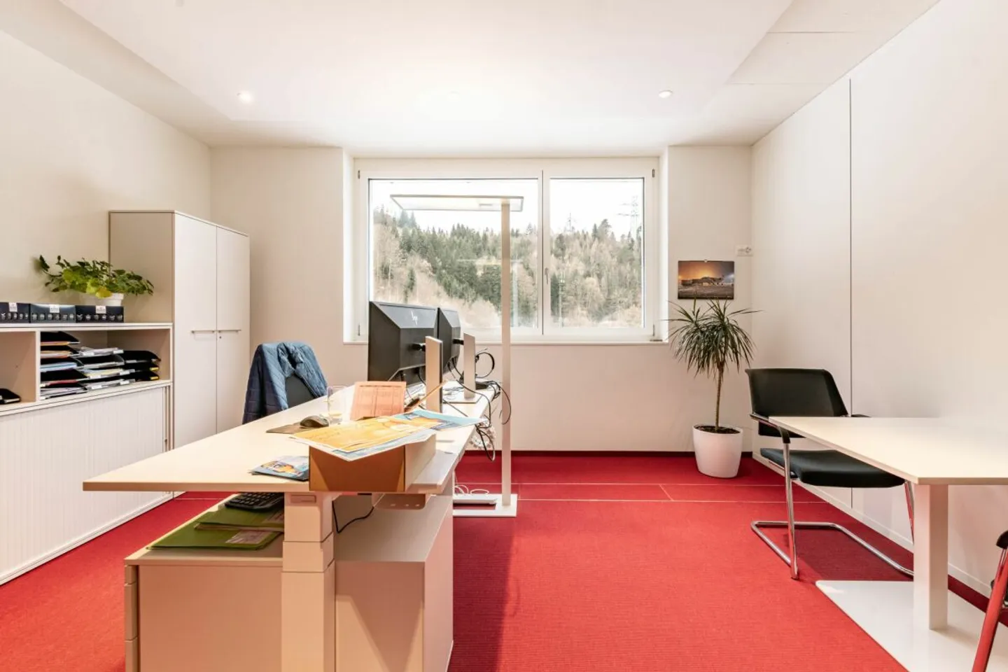 Il tuo nuovo ufficio e spazio commerciale spazioso a Matten vicino a Interlaken - Foto 11 di 13