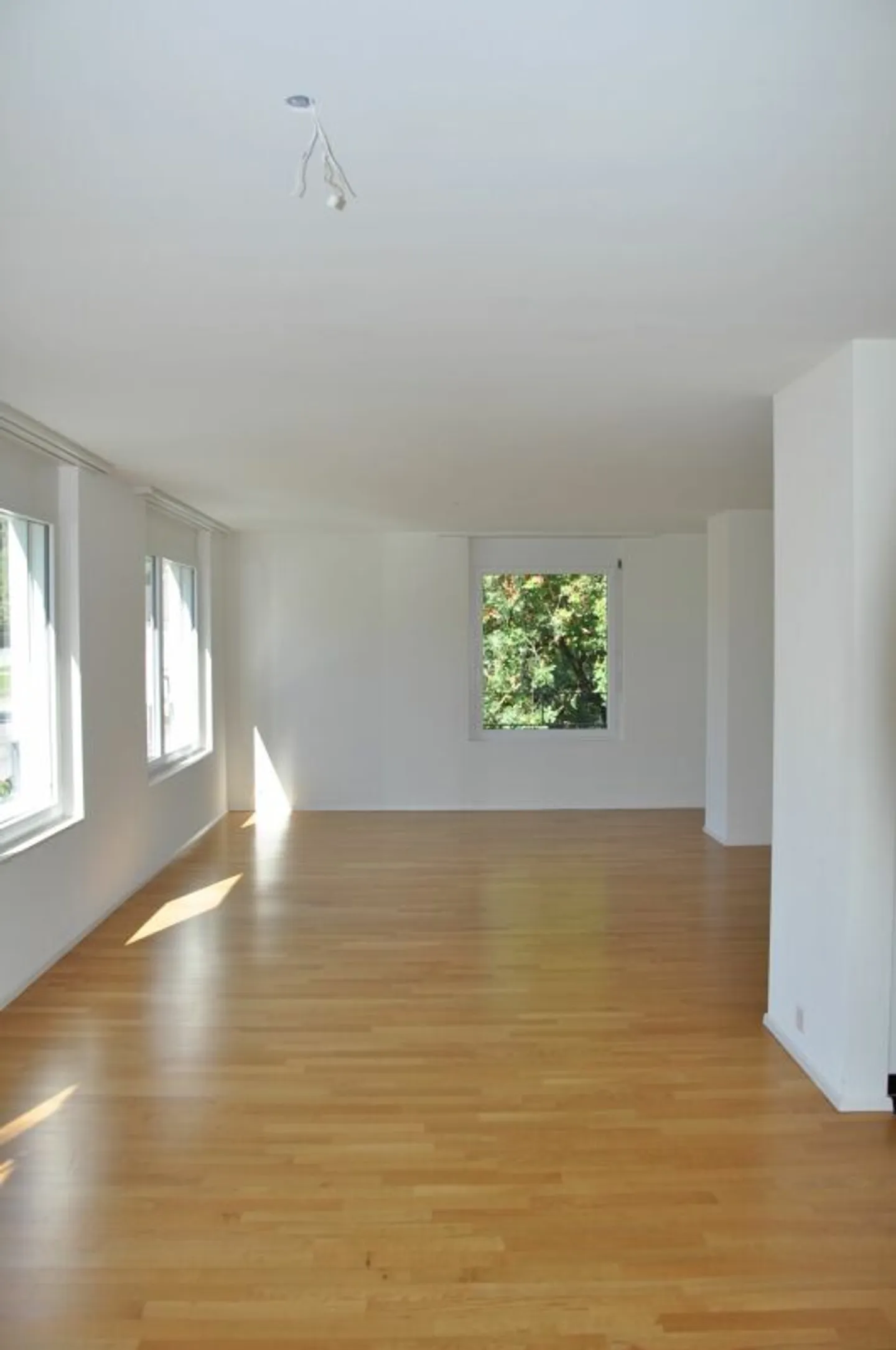 Ampio appartamento da sogno di 4,5 stanze a Bäretswil - 155 m² di giardino per uso esclusivo per la tua oasi personale. - Foto 7 di 13