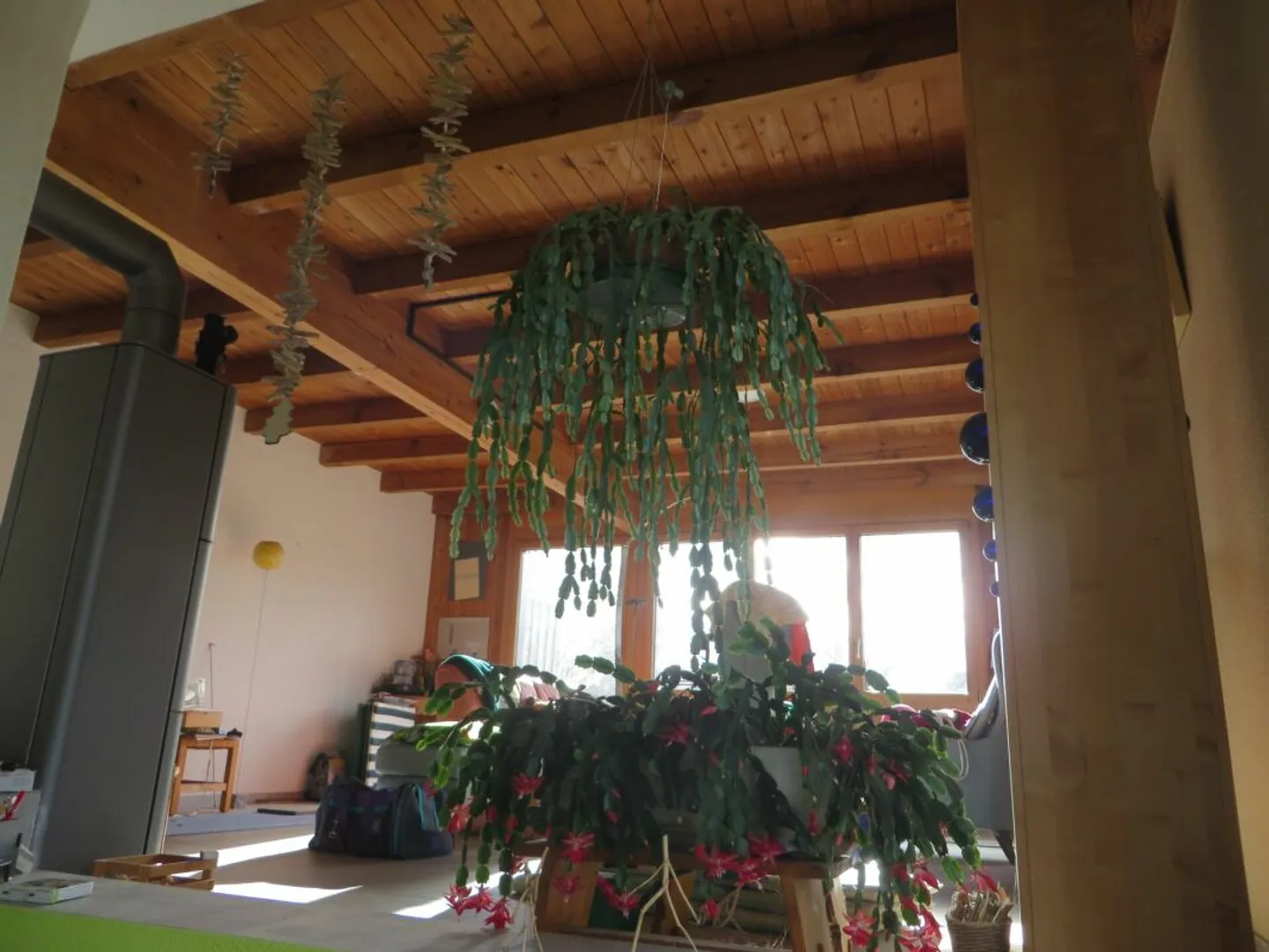 Casa familiare DEFH con grande giardino - Foto 6 di 13