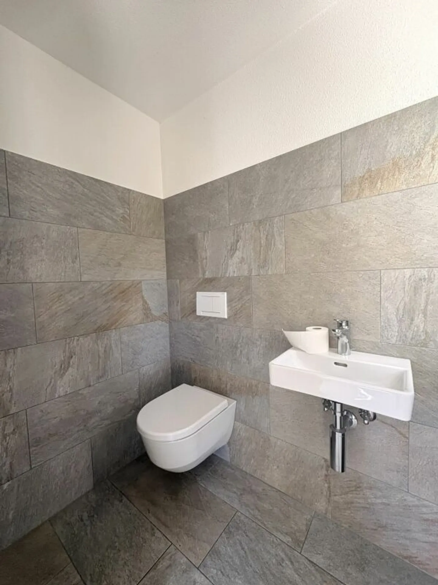 Vivre avec une vue : Maison individuelle spacieuse avec appartement - Photo 4 sur 13