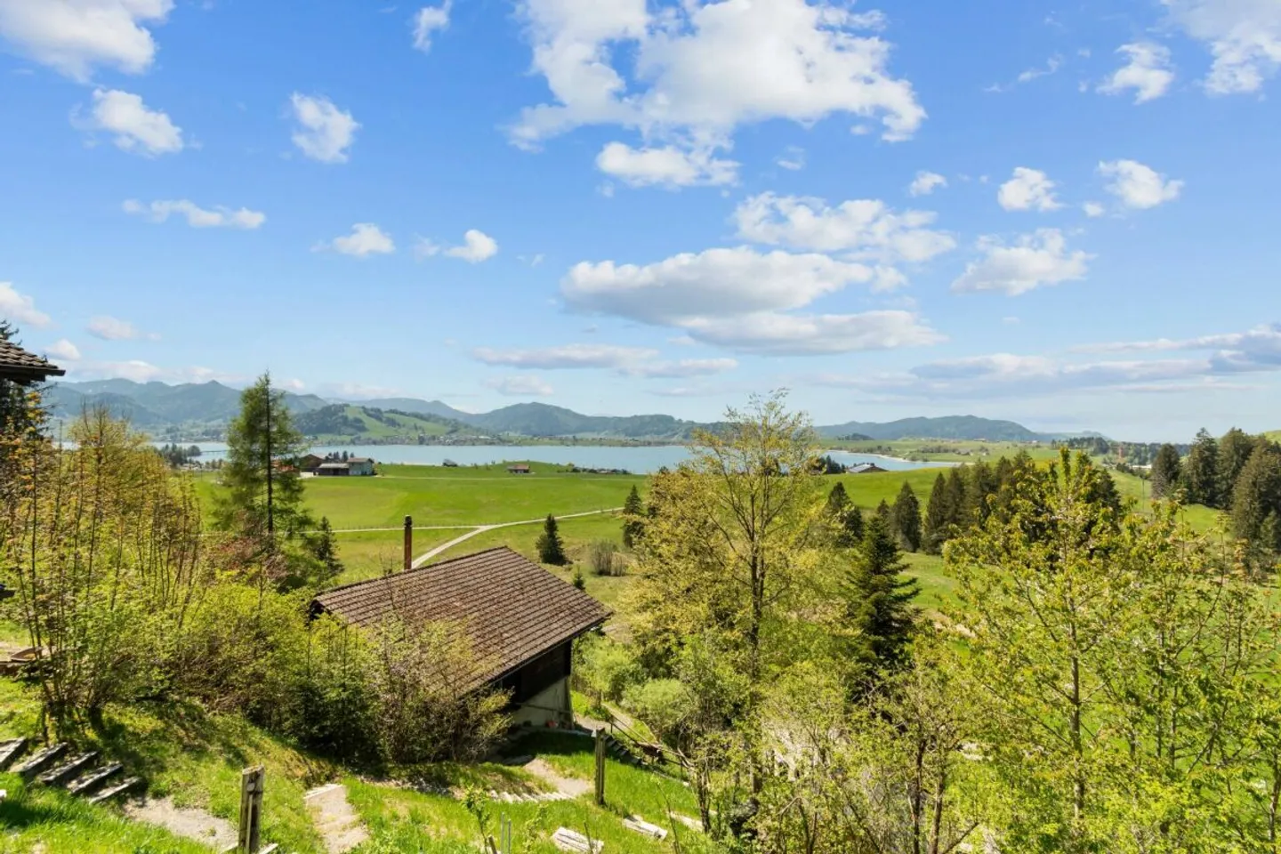 Petite oasis dans le paradis des loisirs - dans le vert, au bord de la forêt, avec vue sur le lac - Photo 1 sur 12